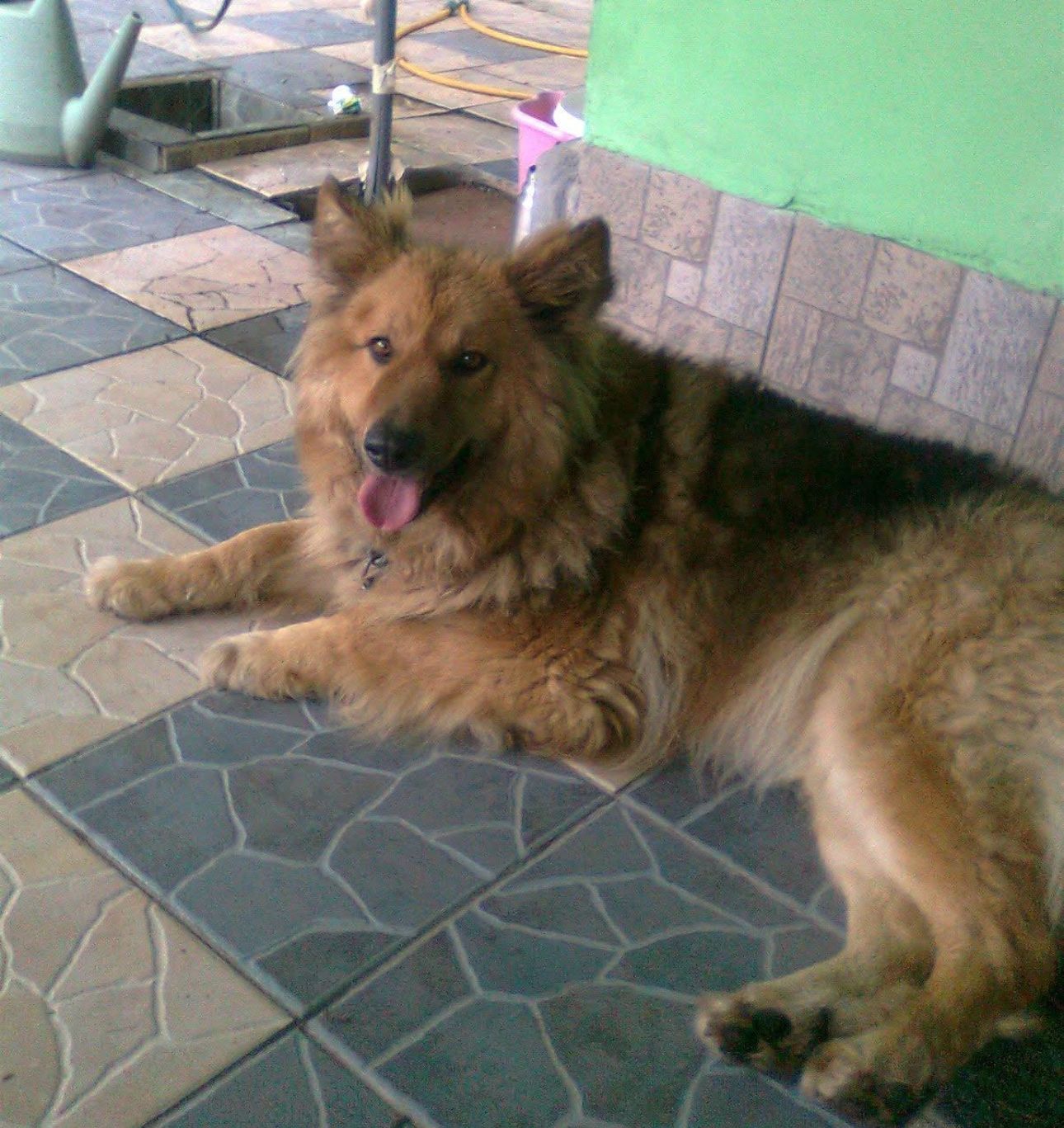 image-8