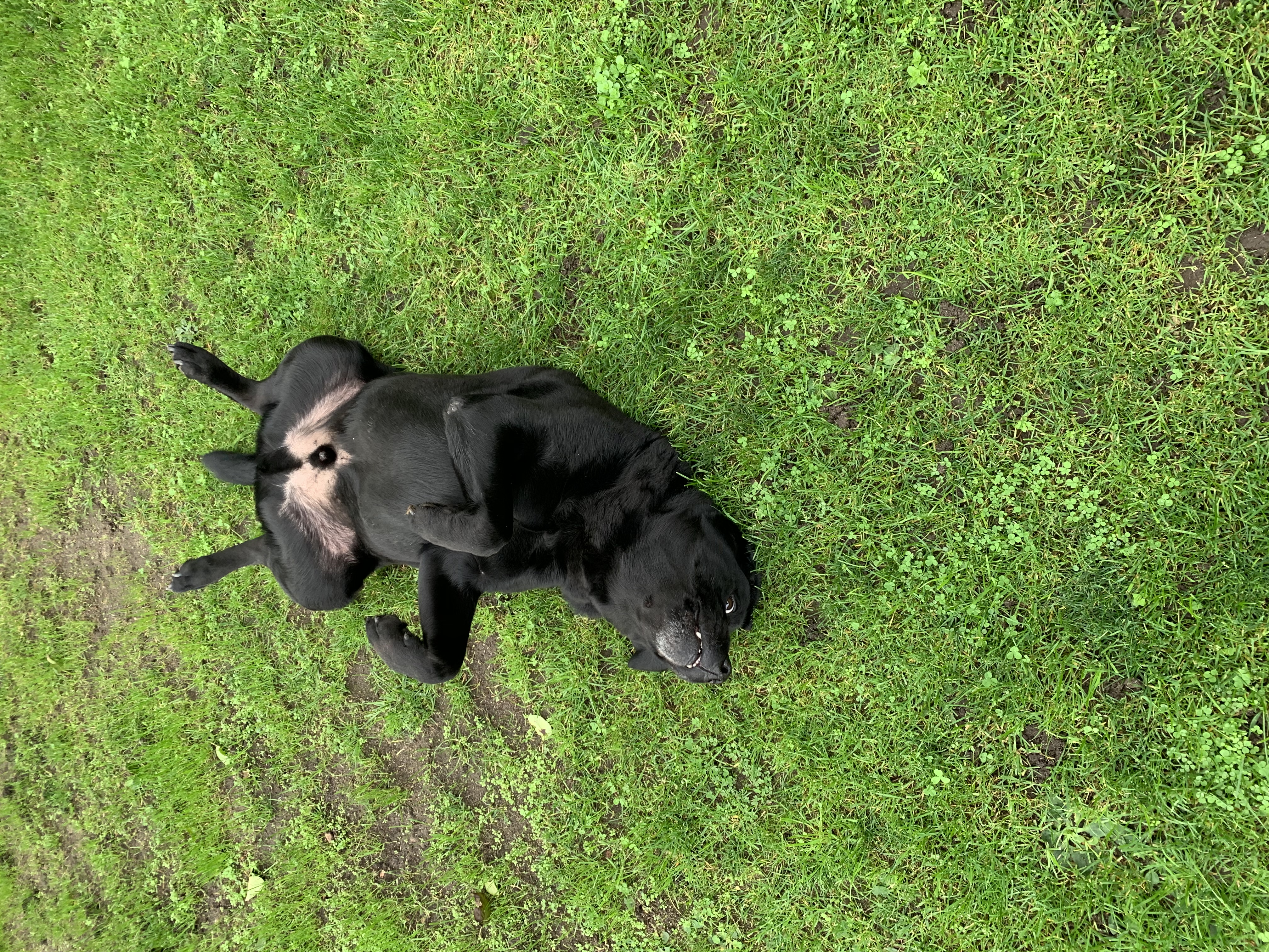 image-9