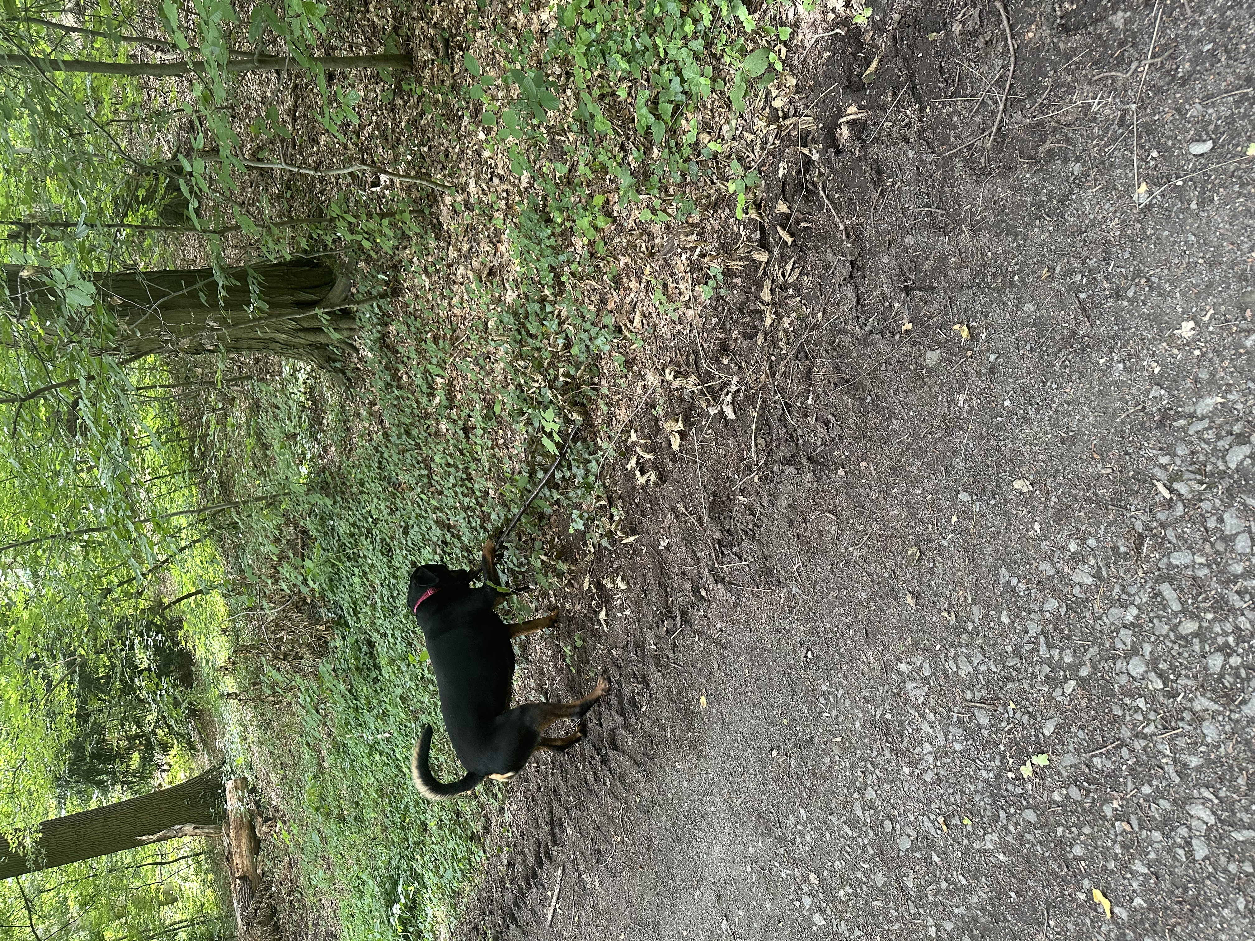 image-15