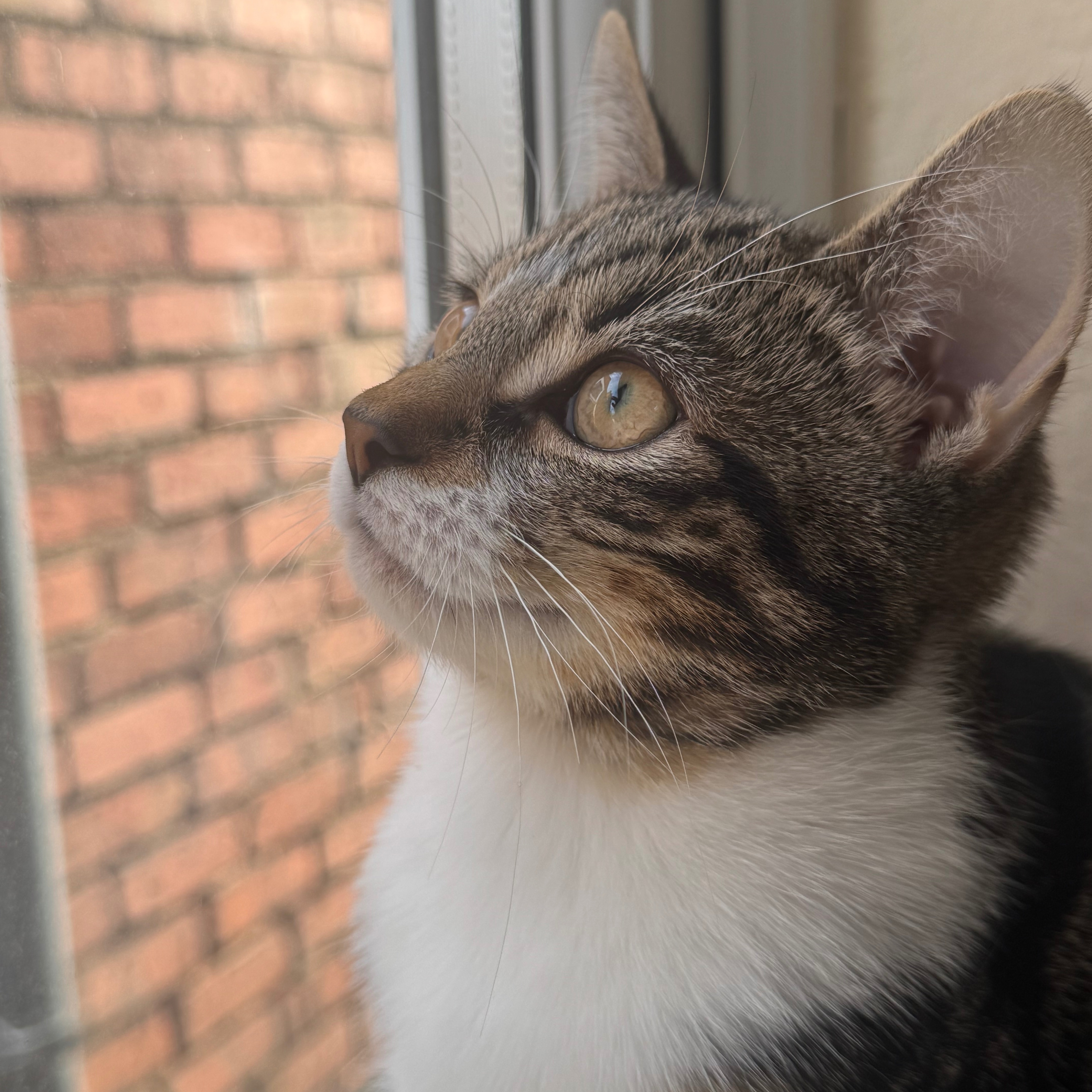 Marble