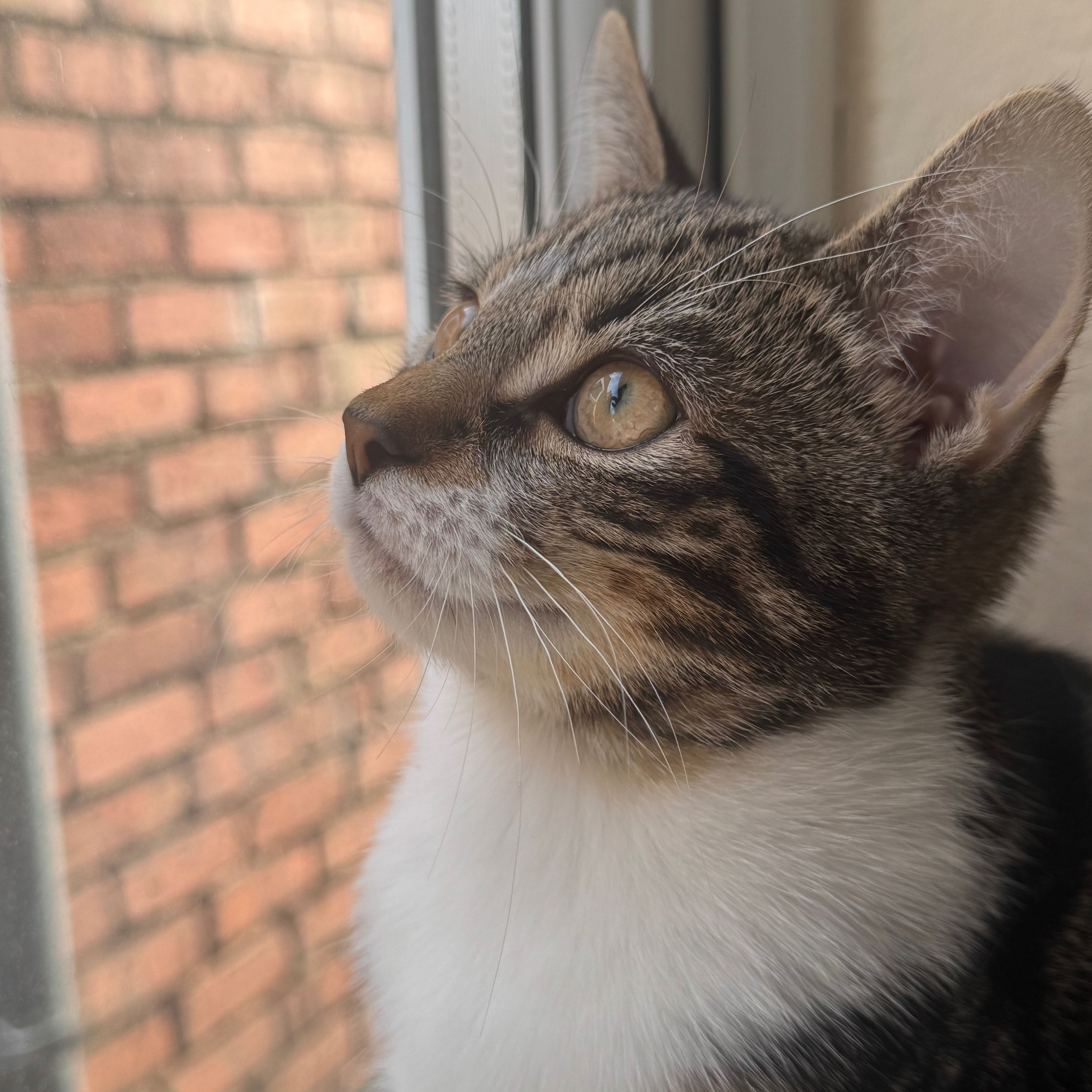 Marble