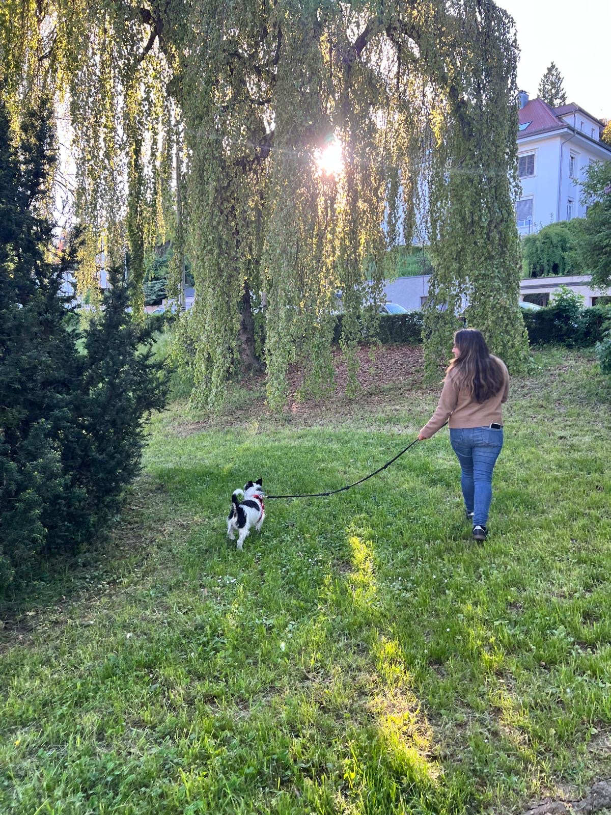 image-21