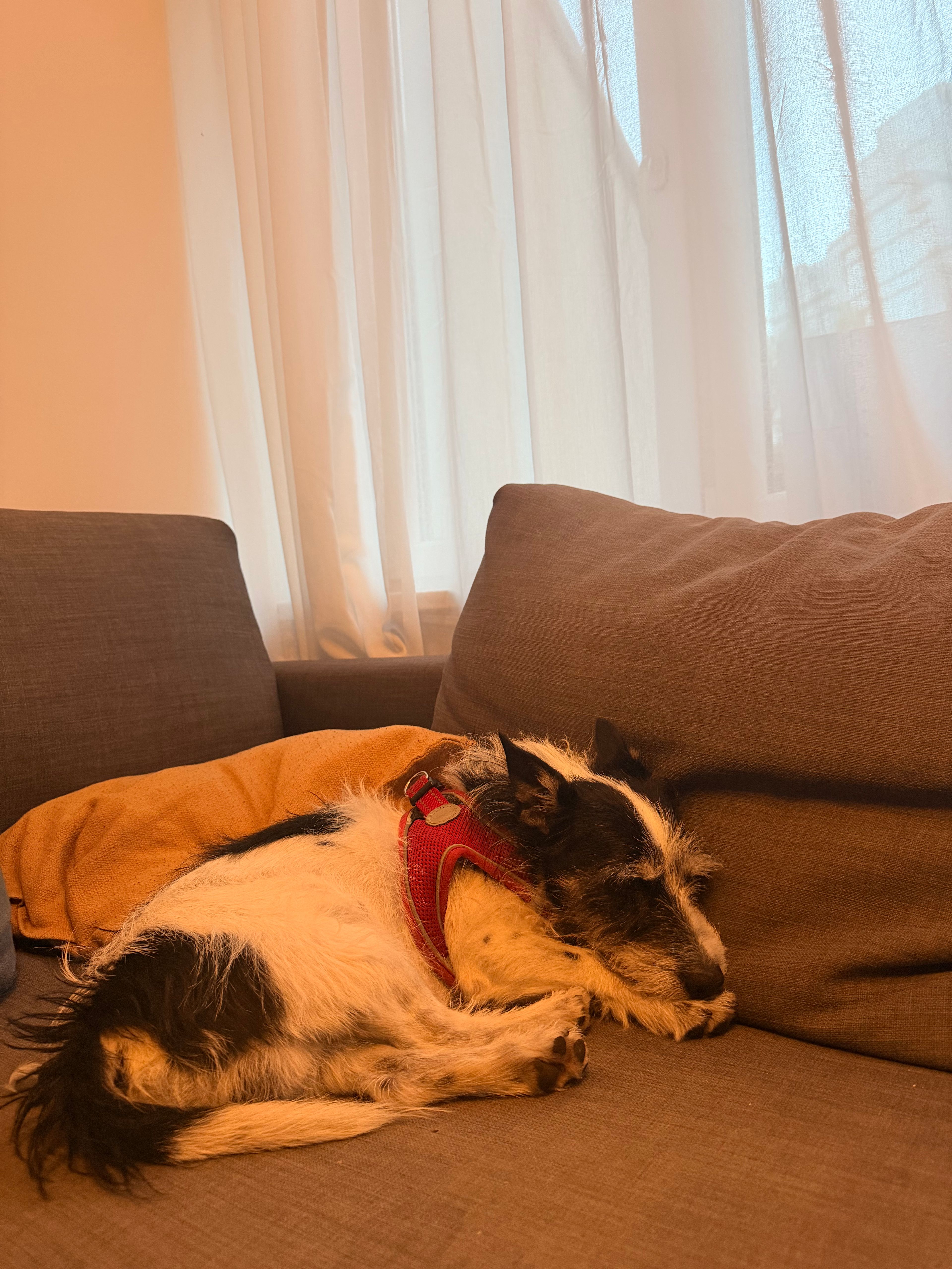 image-20