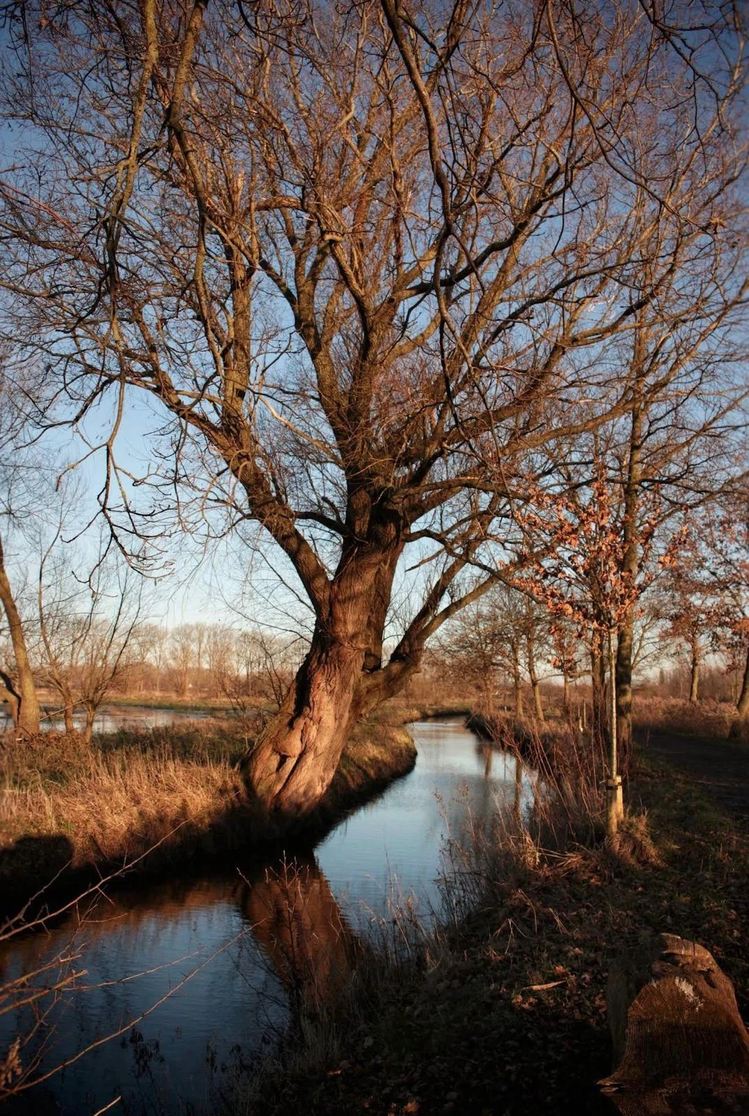 image-9