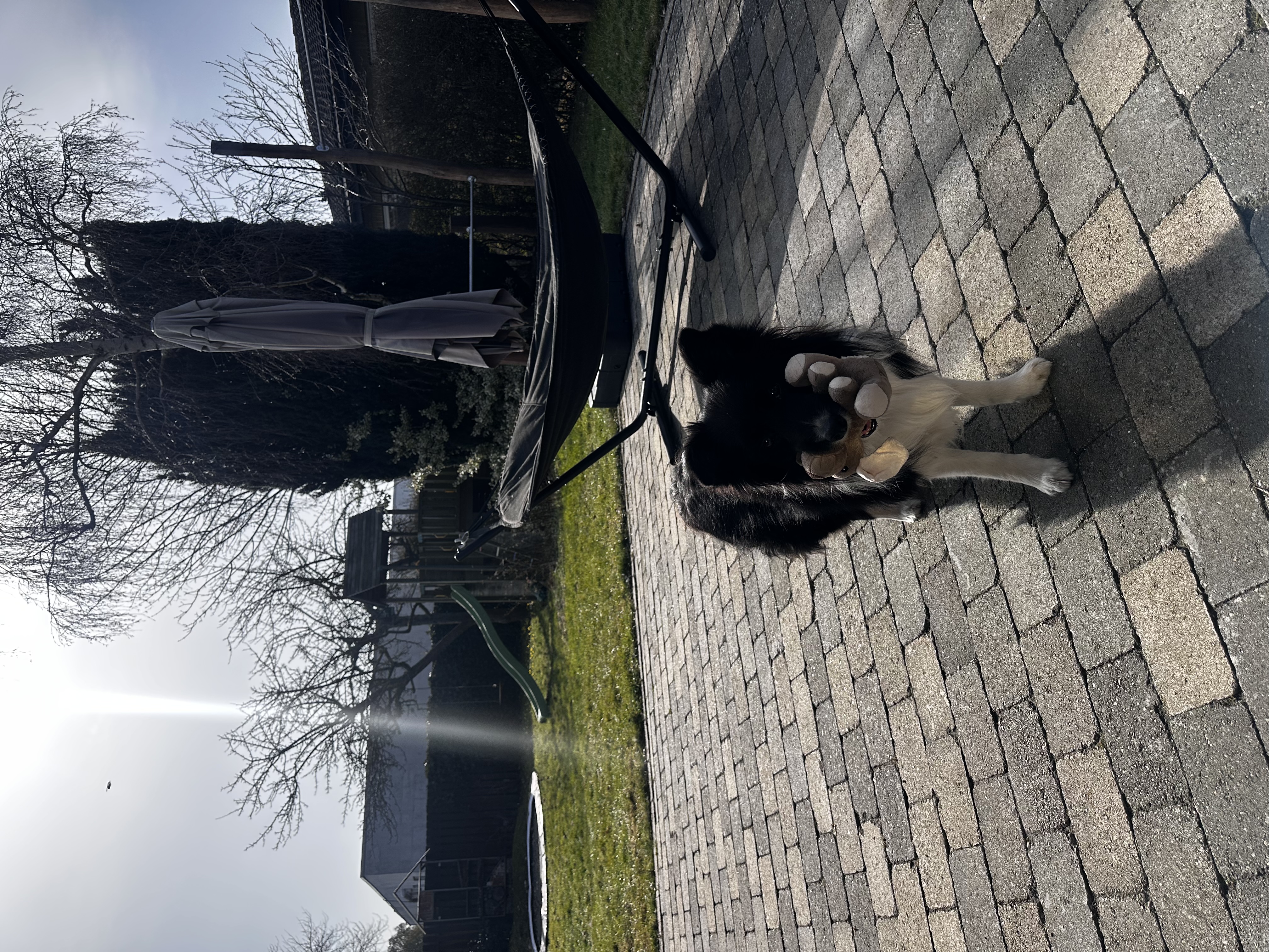image-15
