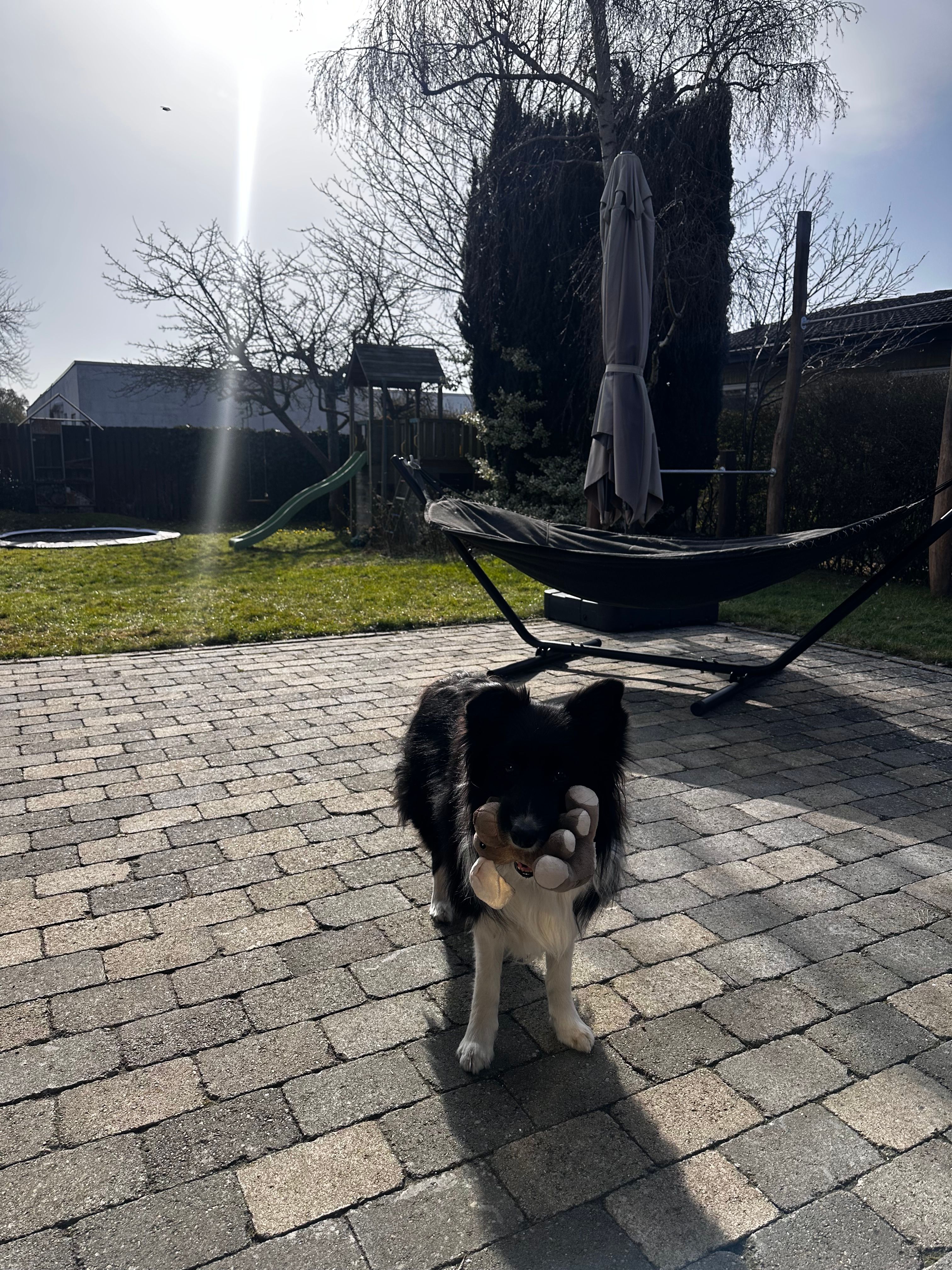 image-15