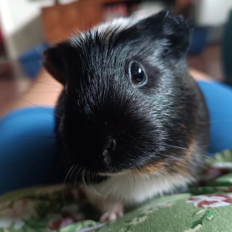 Luna
