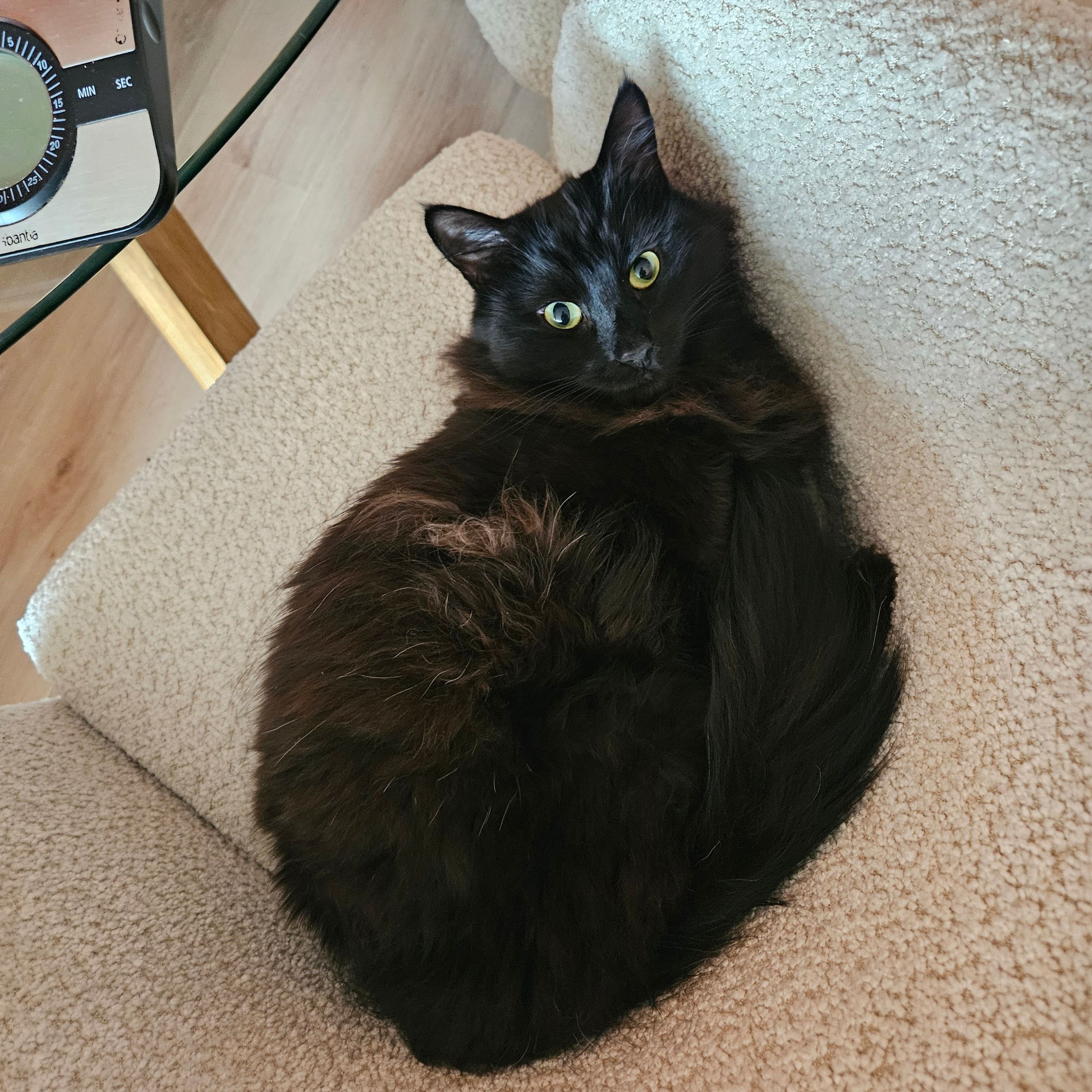 Raku