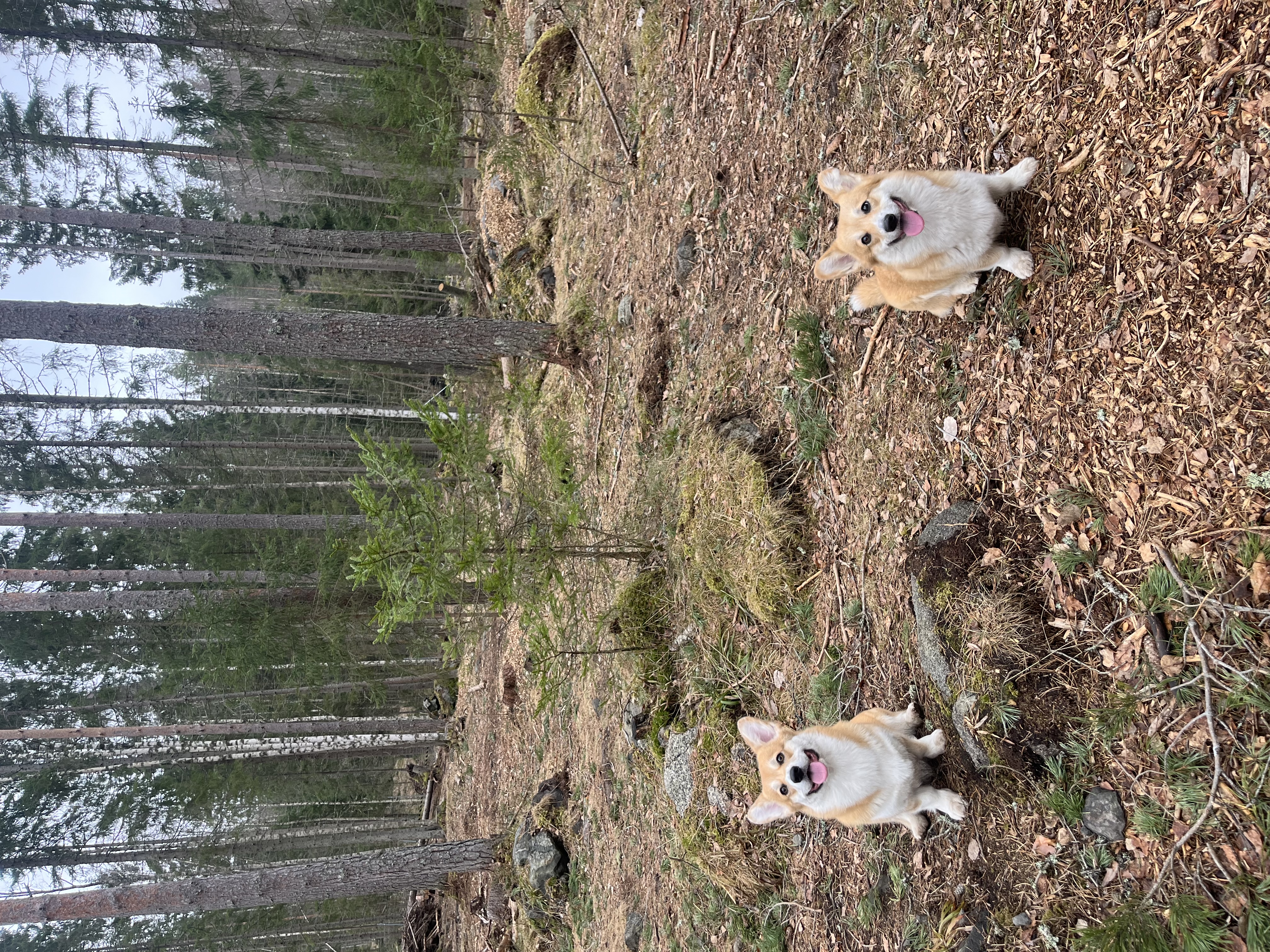 image-6