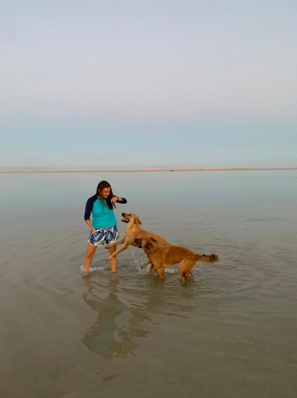 image-7