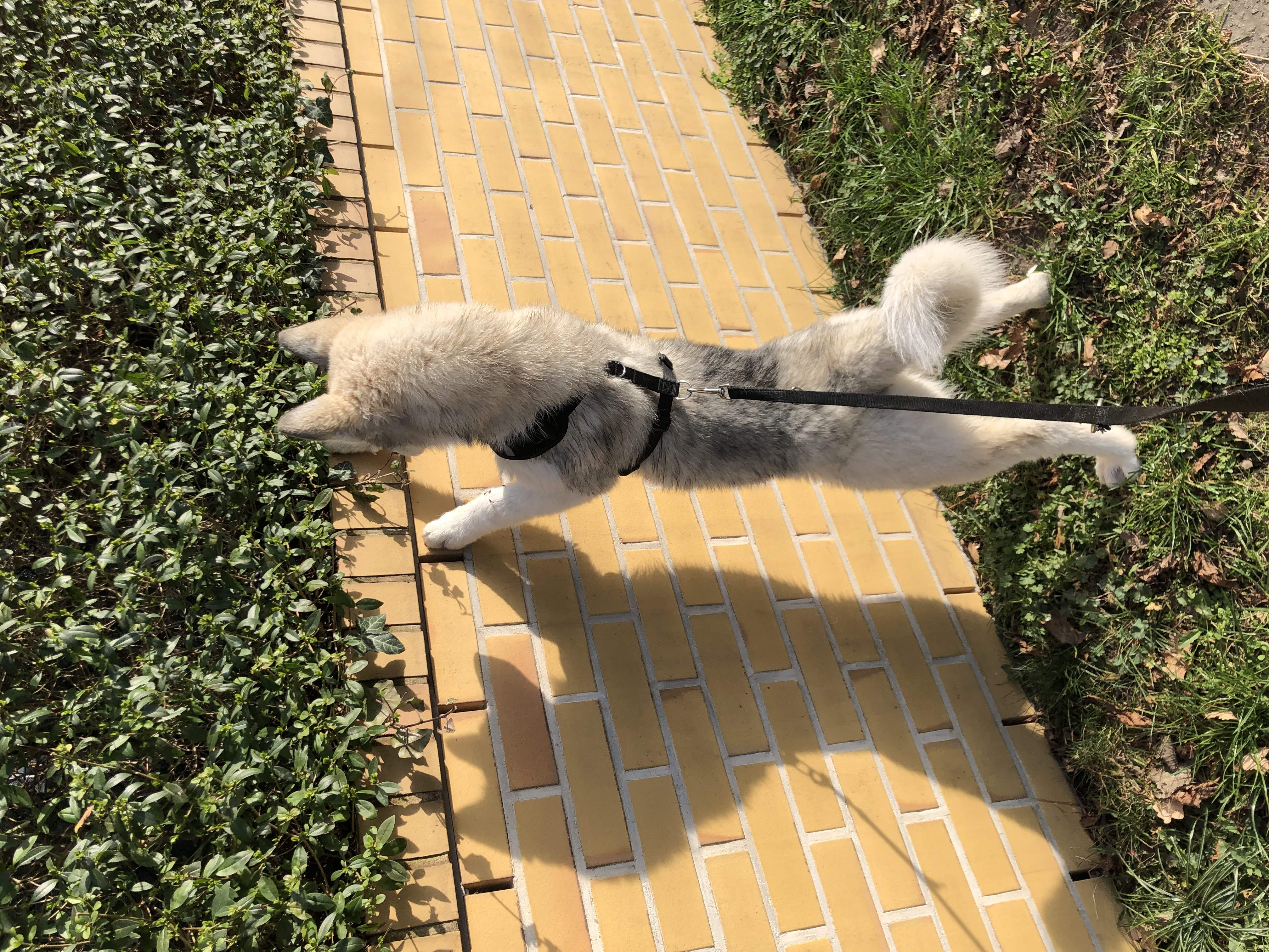 image-9