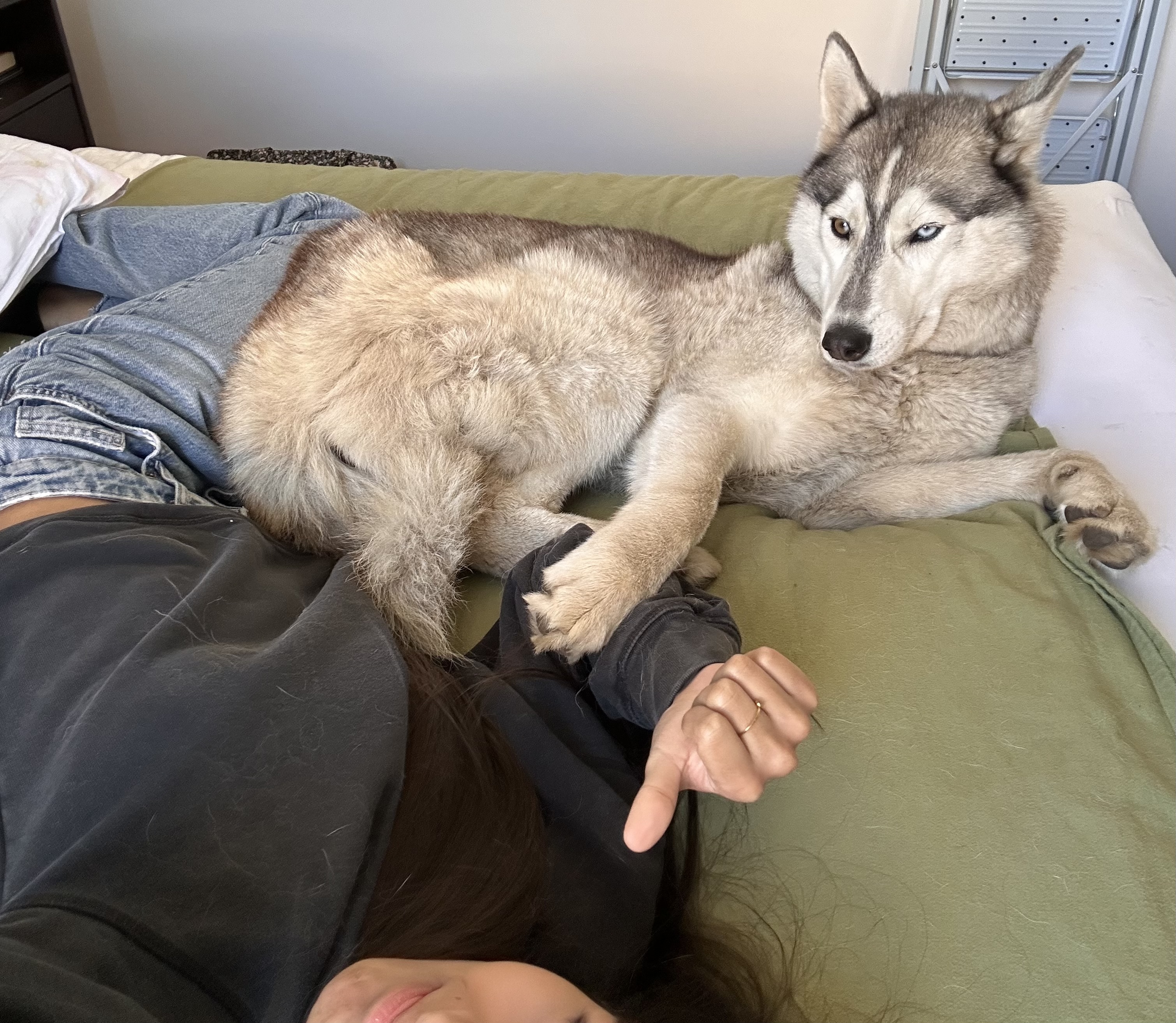 image-7