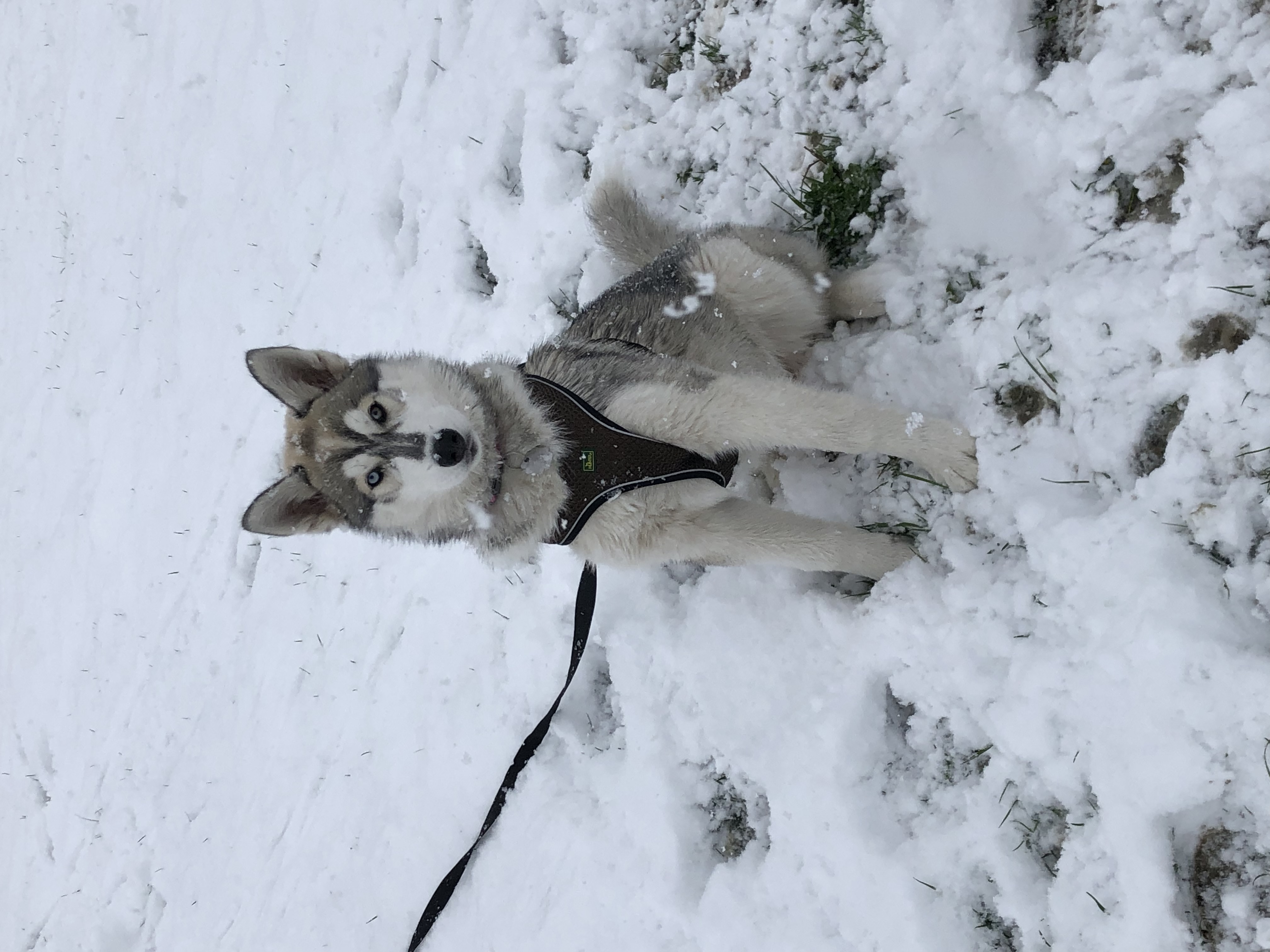 image-8