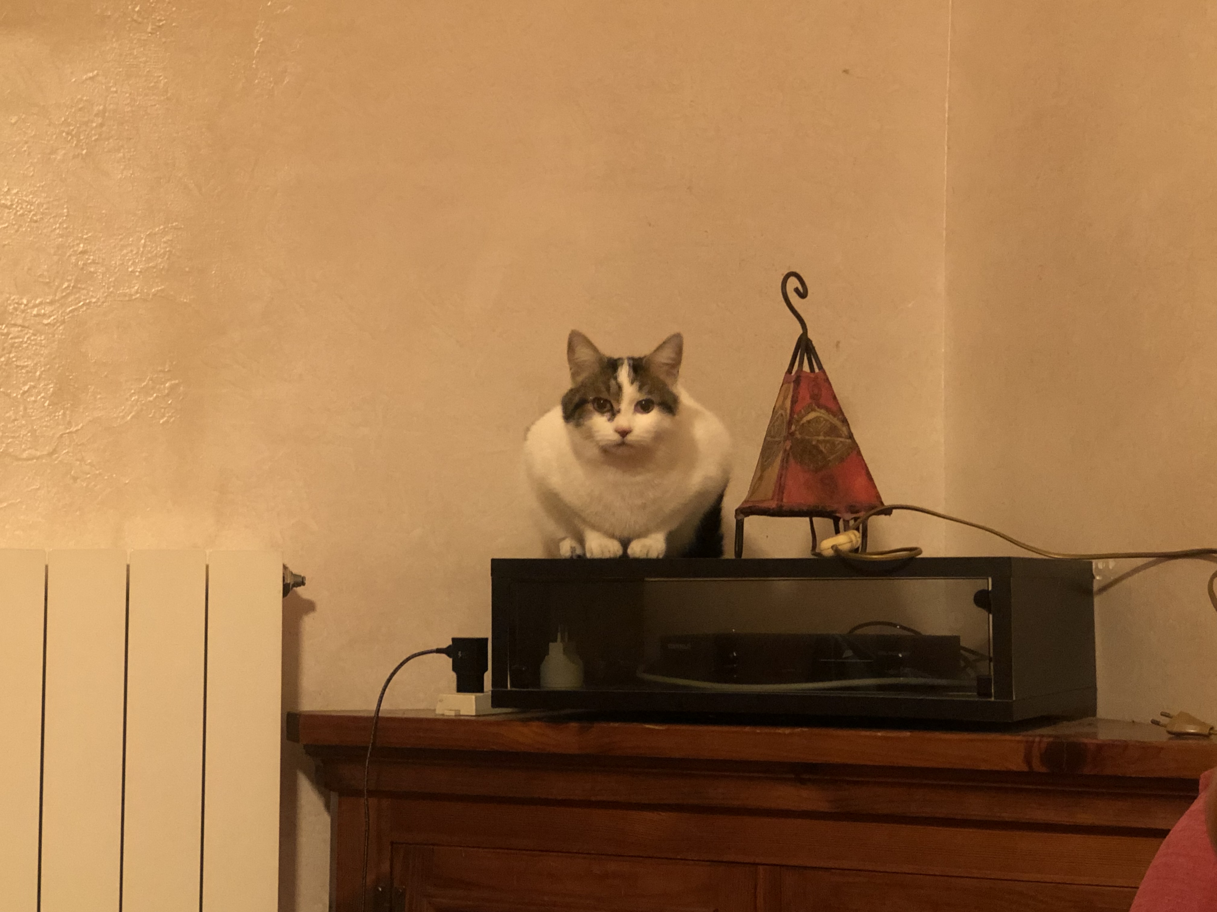 image-14