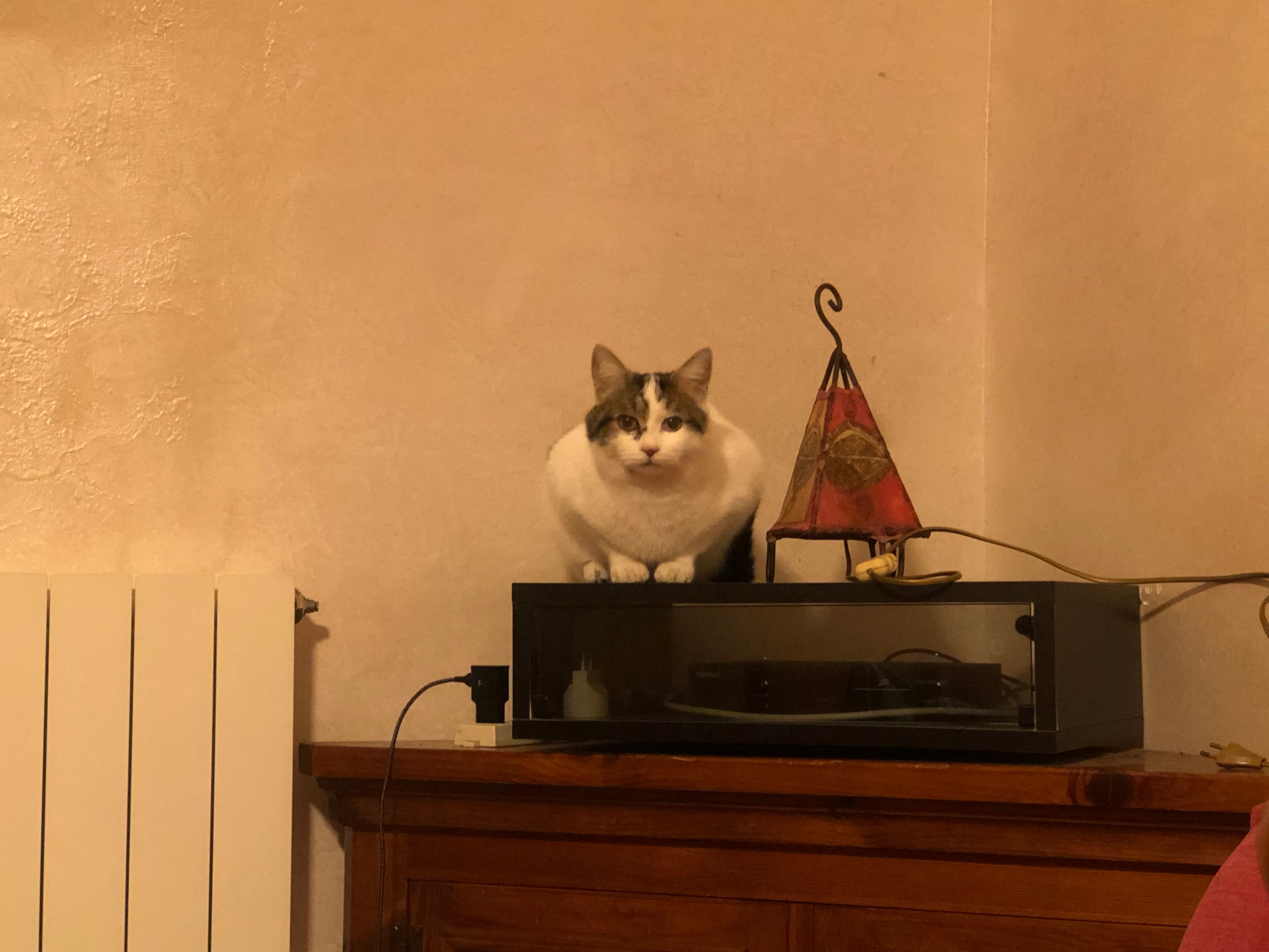 image-14