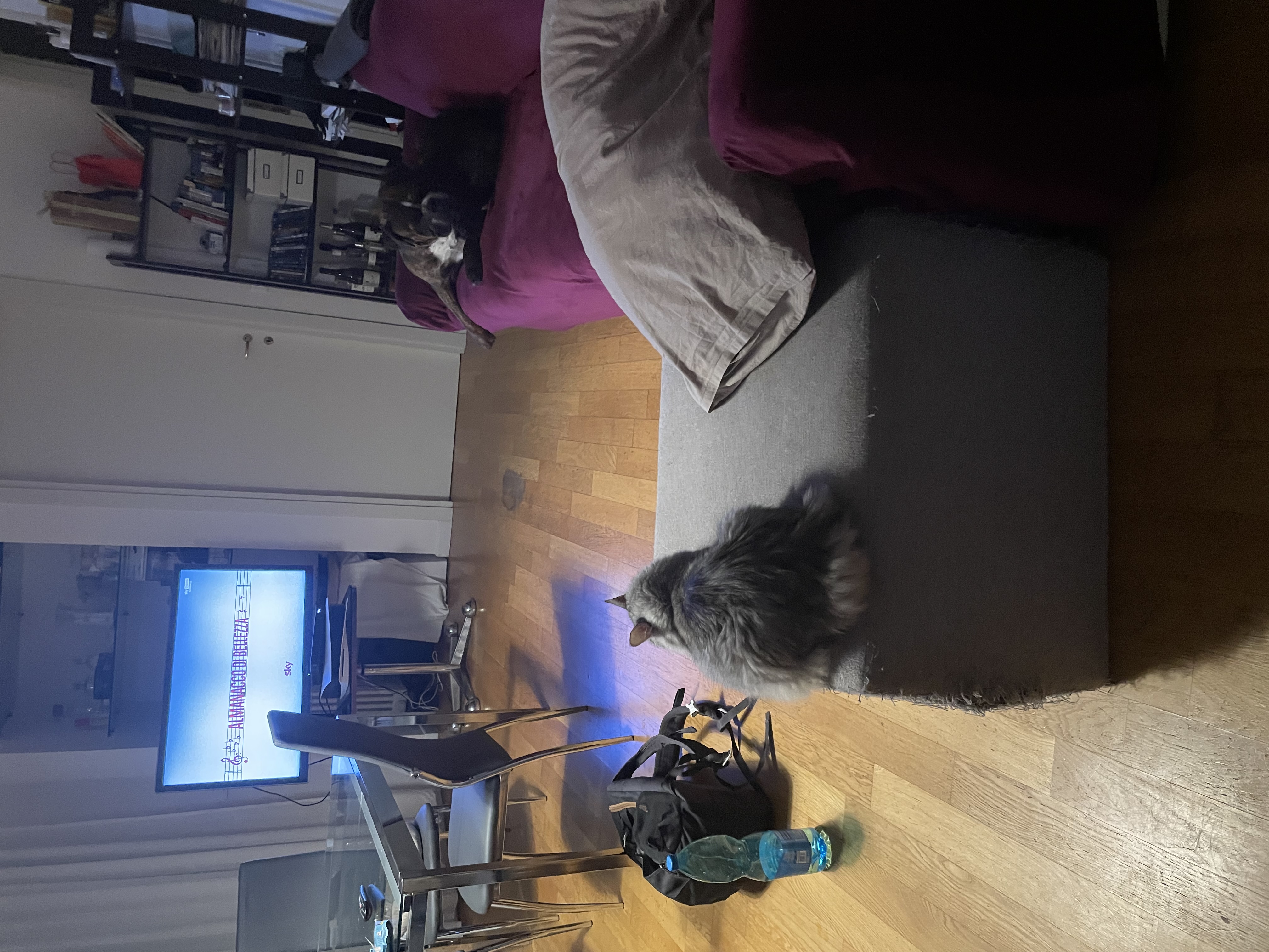 image-6