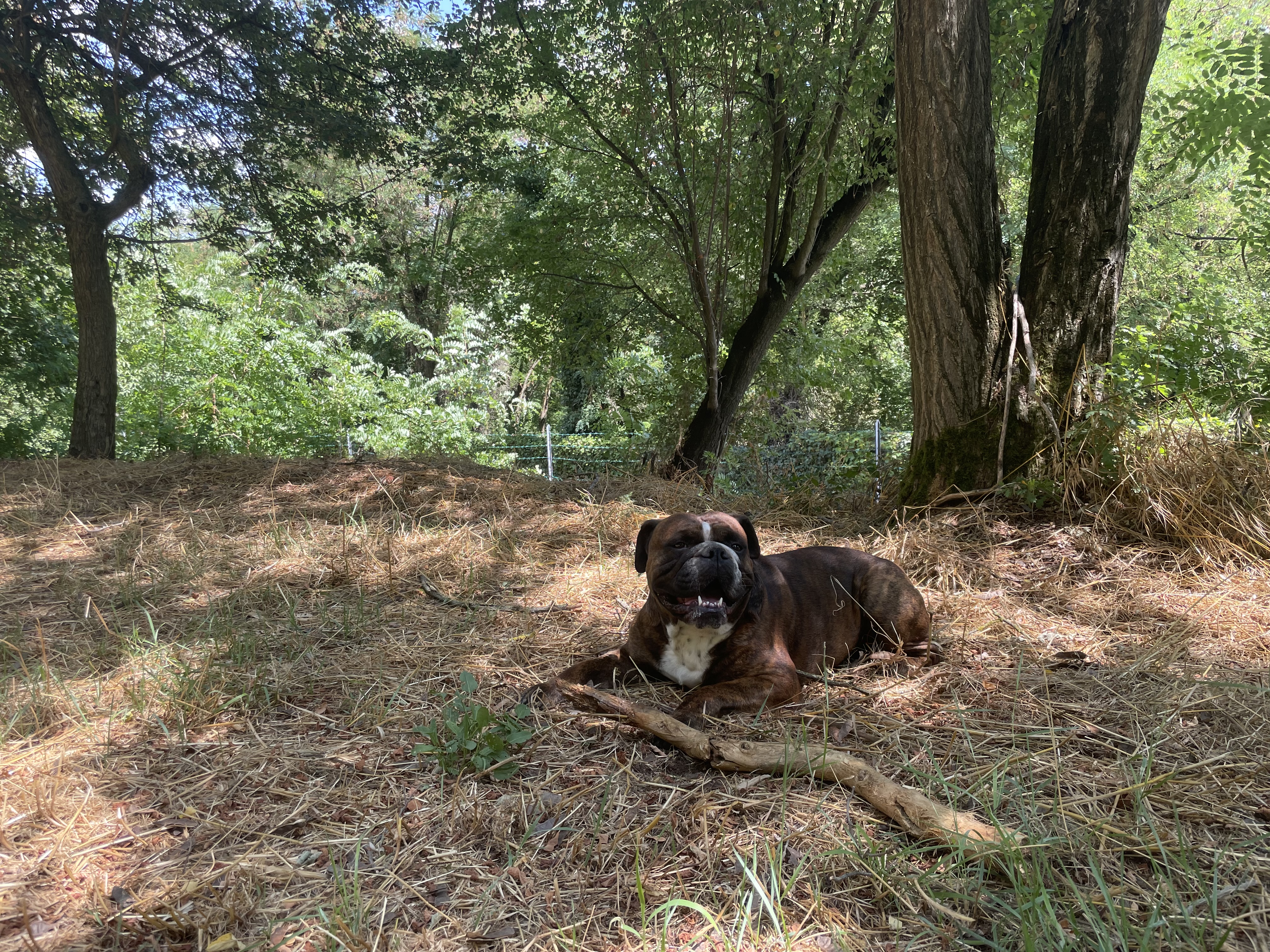 image-5