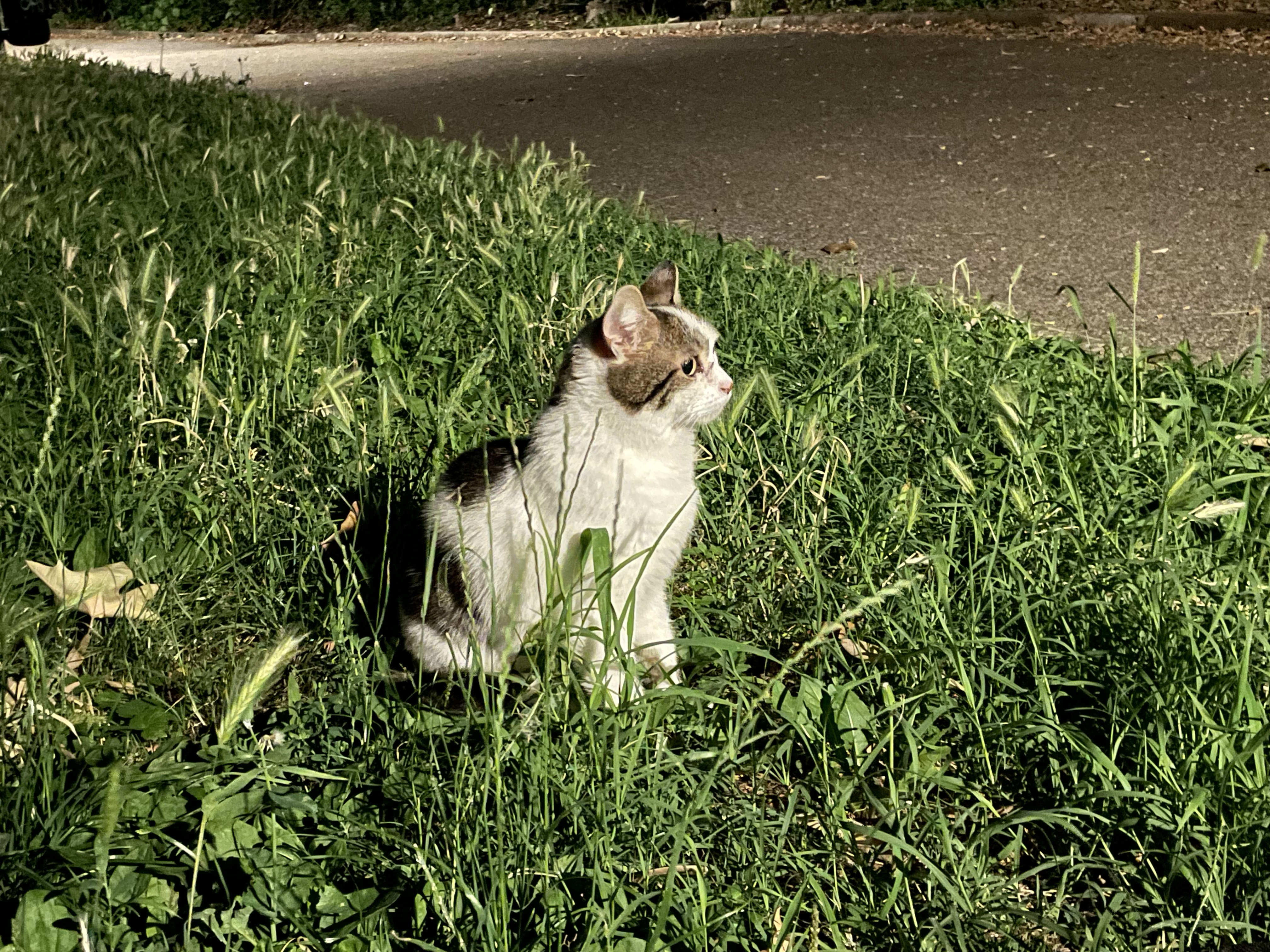 image-17