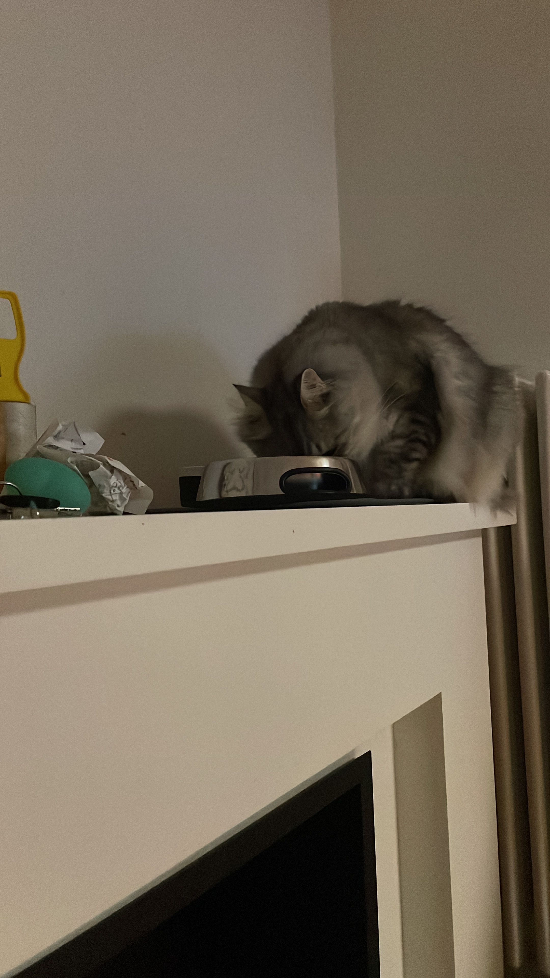 image-7