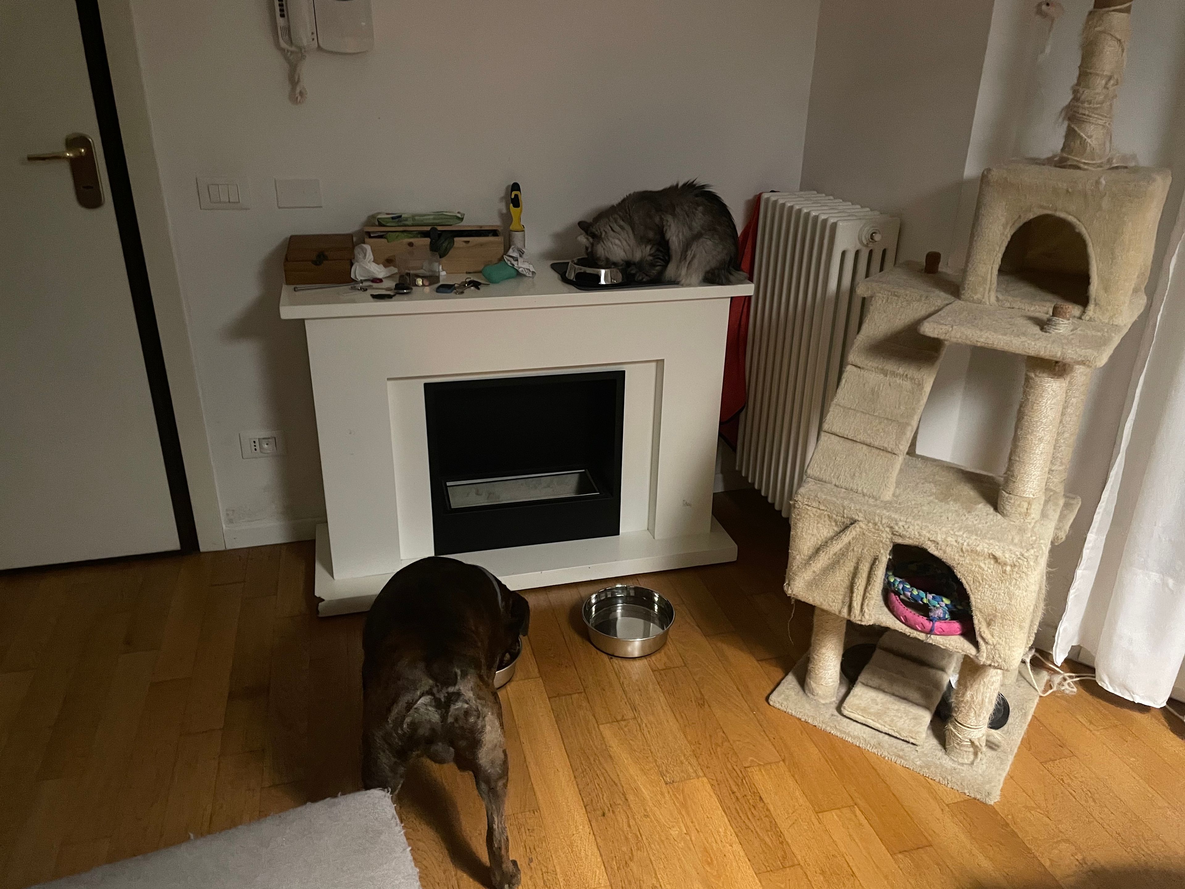 image-12