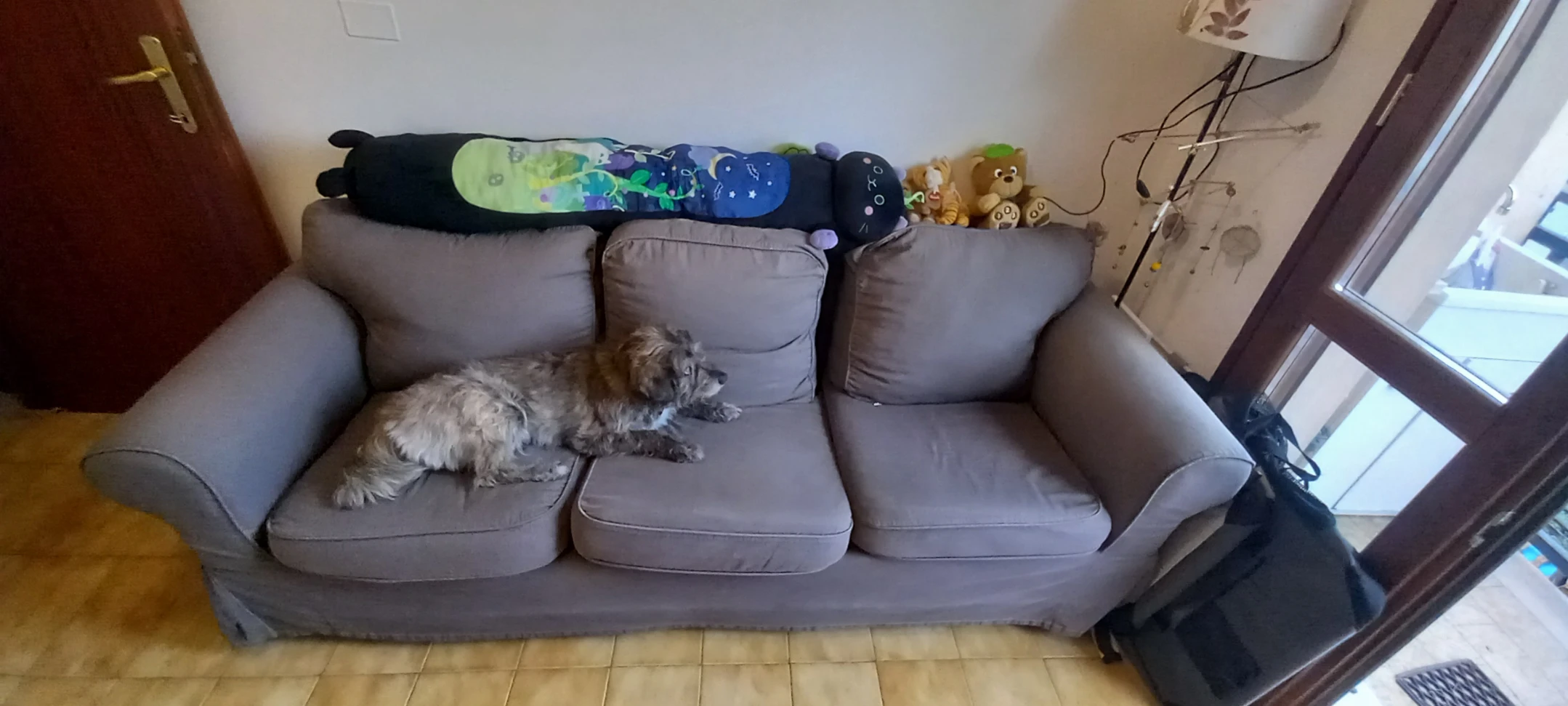 image-11