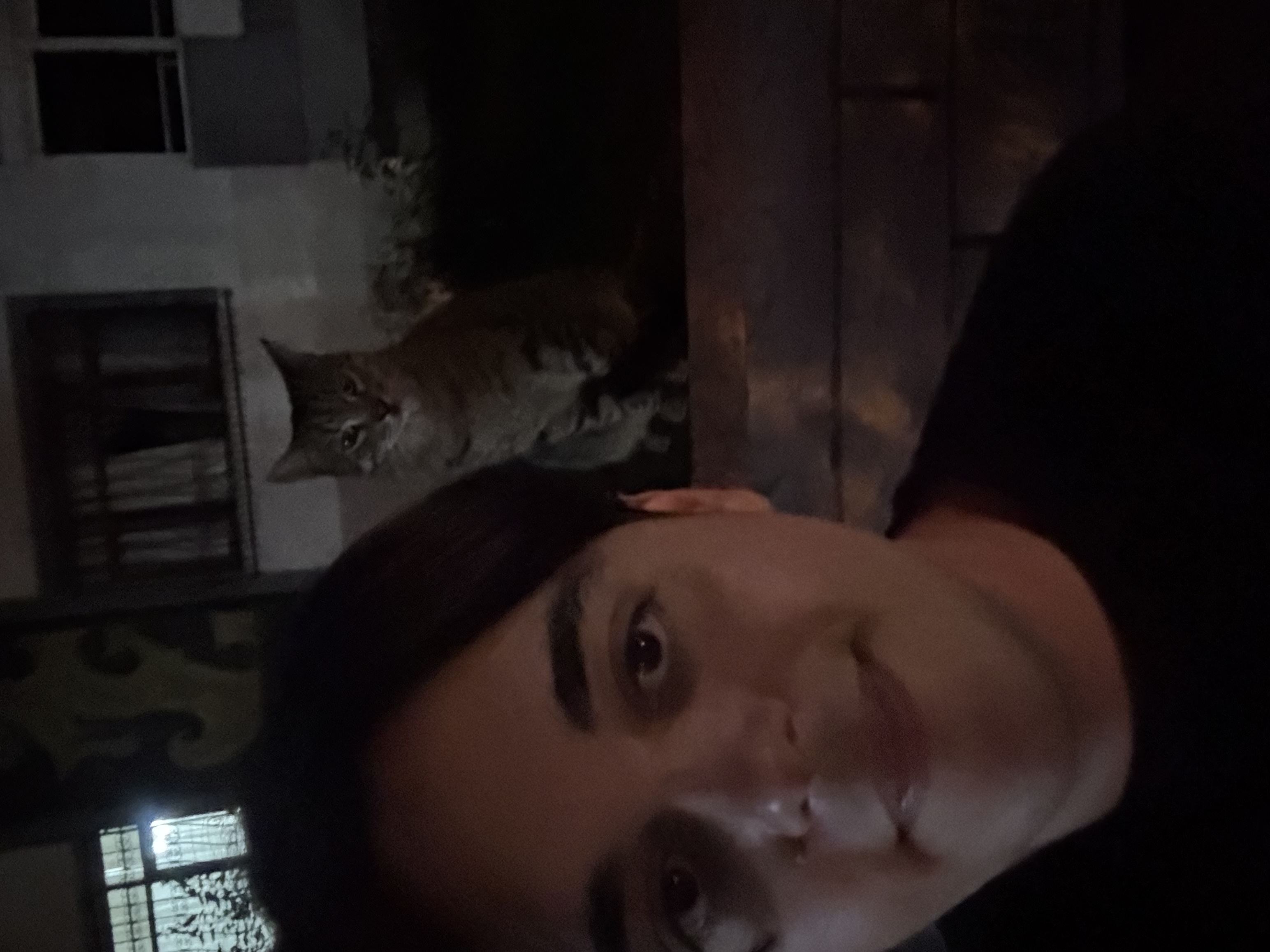 image-4