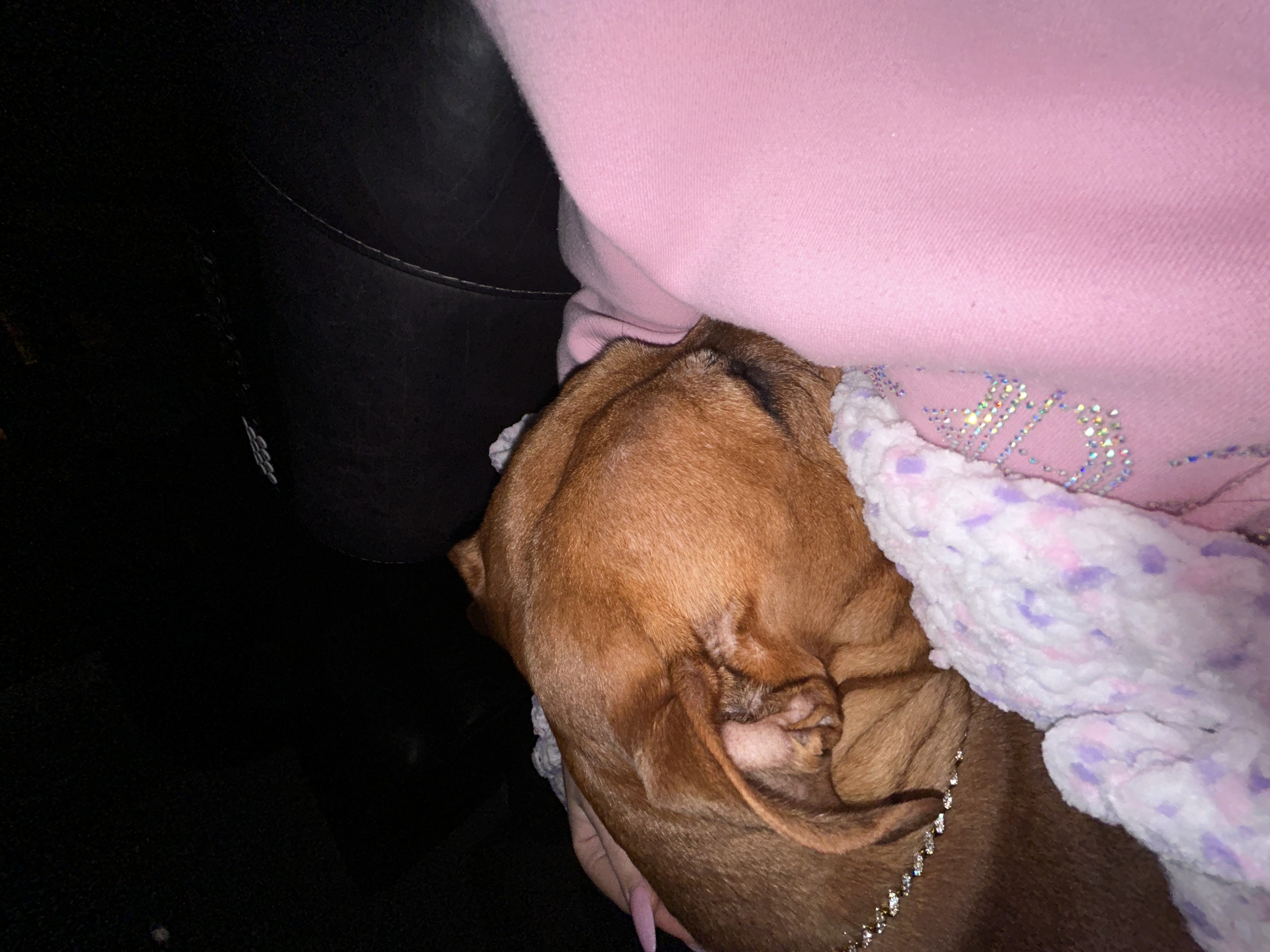 image-8