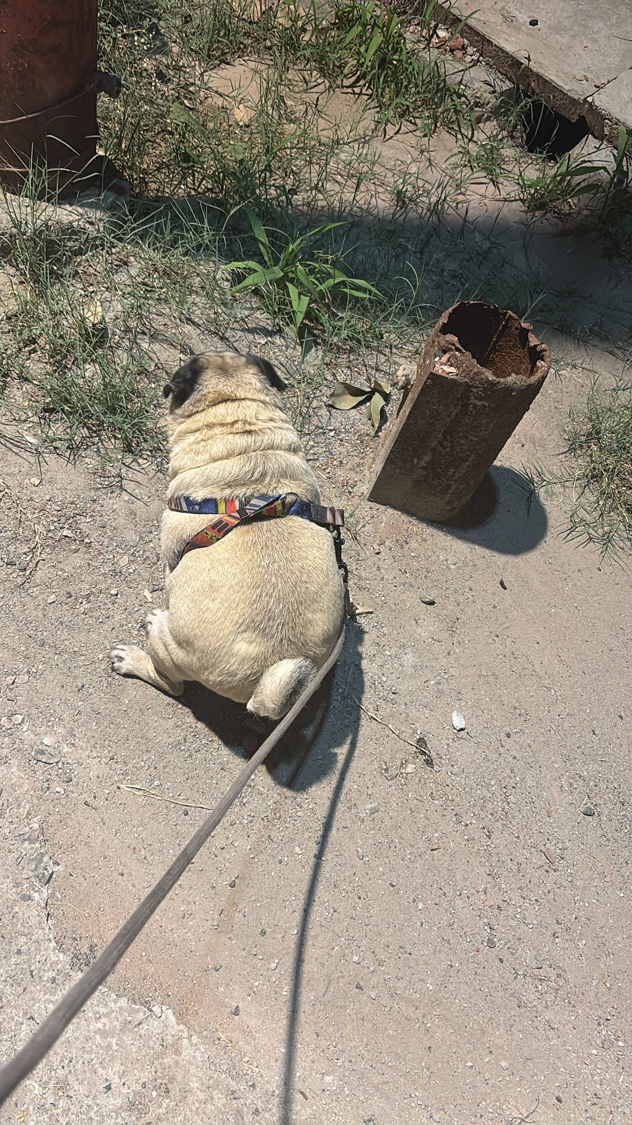 image-8
