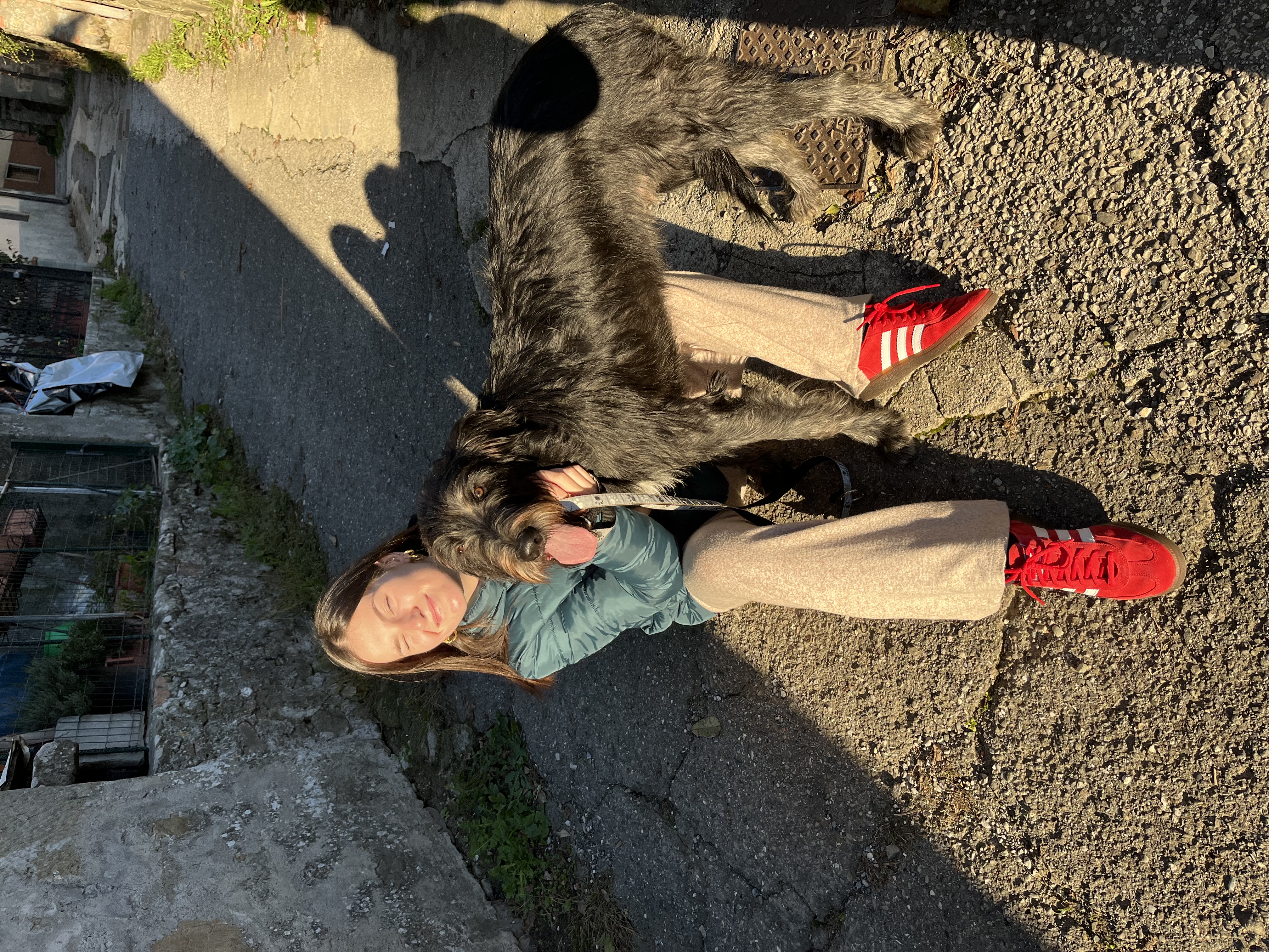 image-10