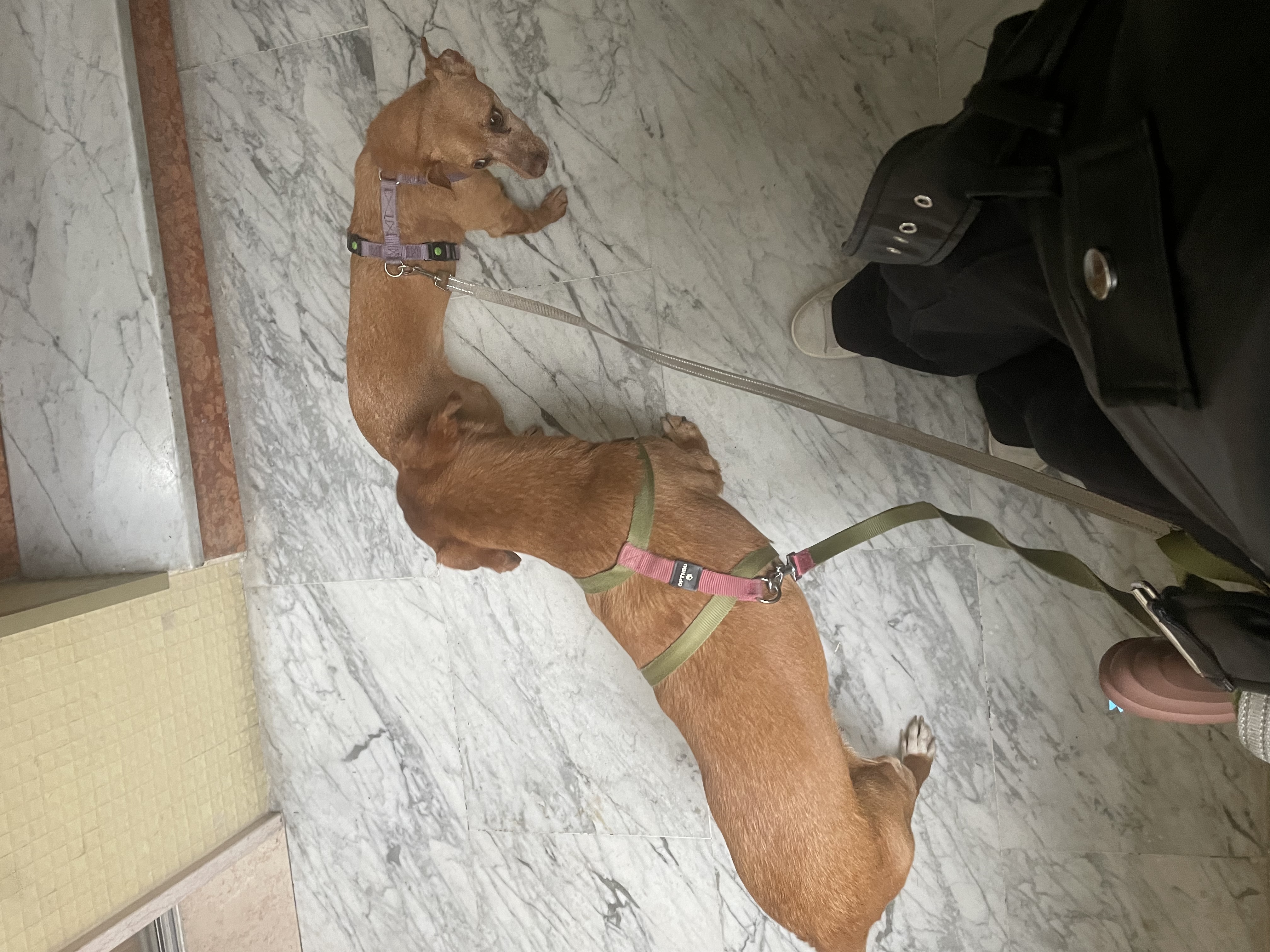 image-6