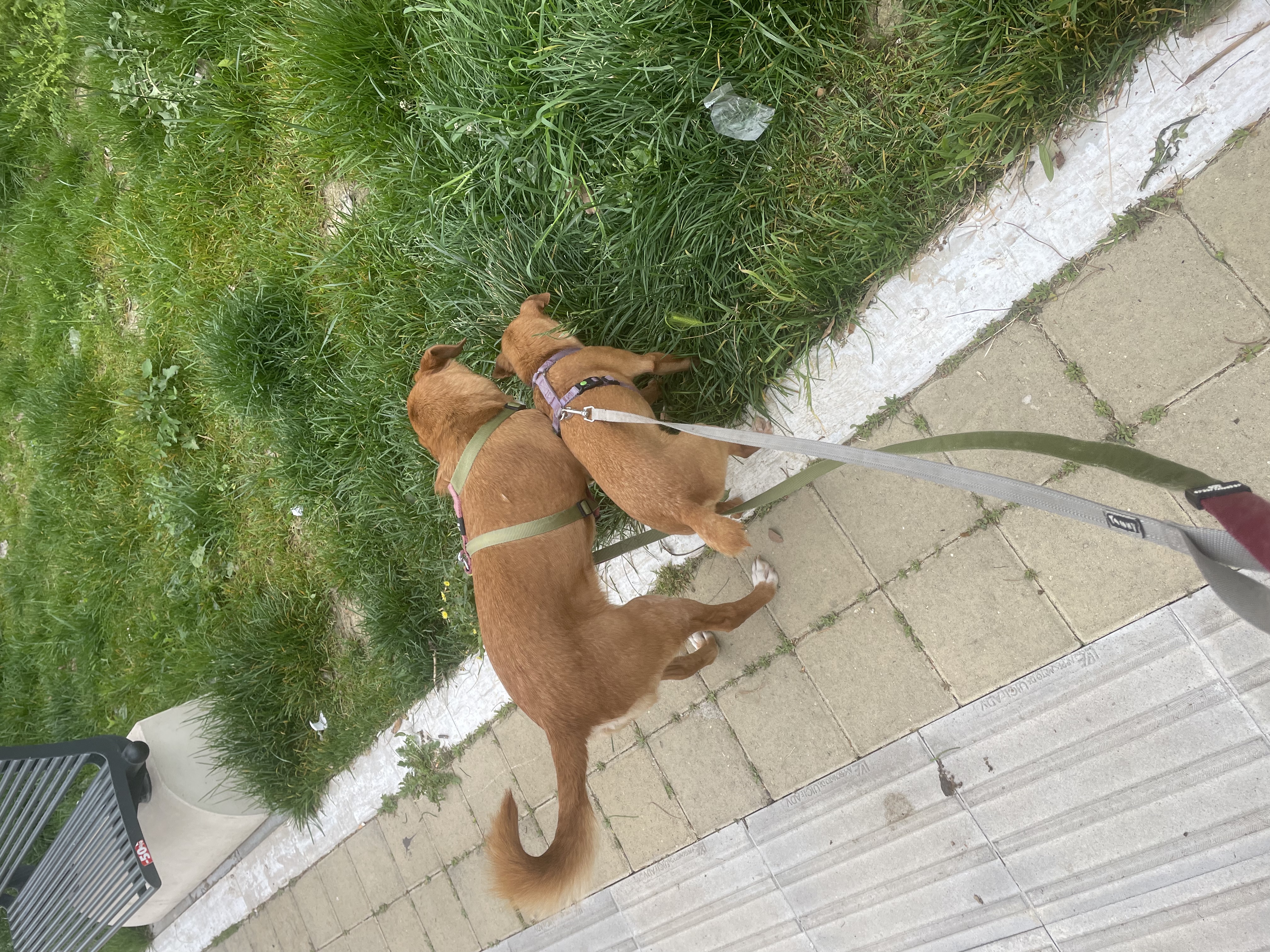 image-5