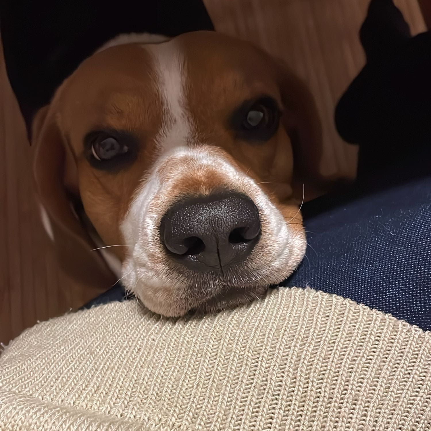 Paco