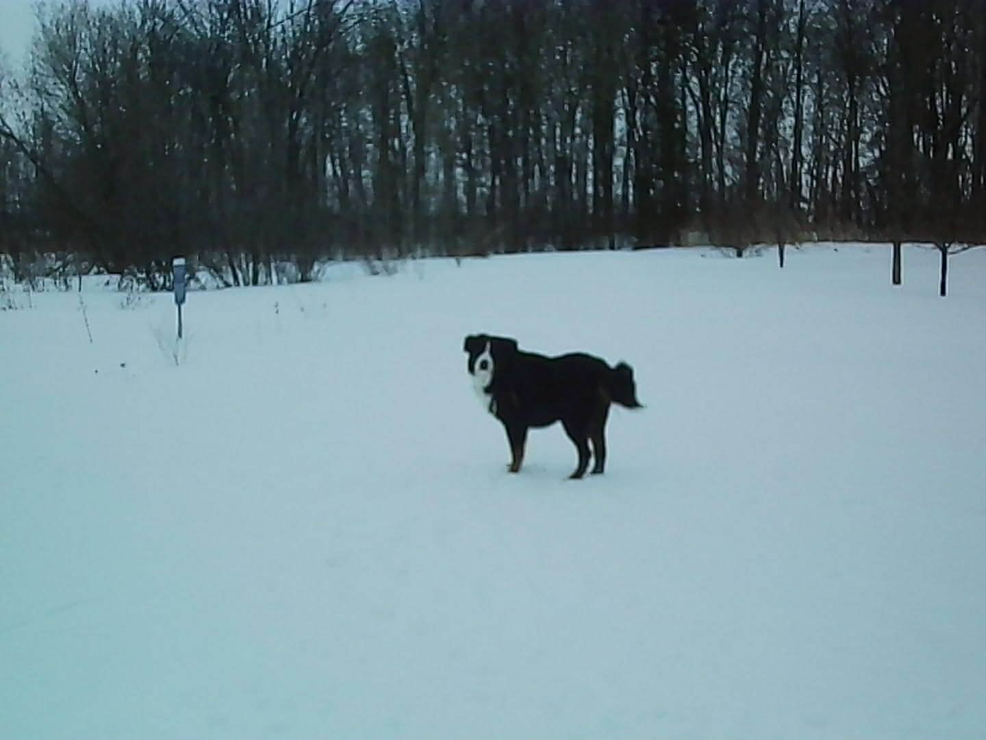 image-4