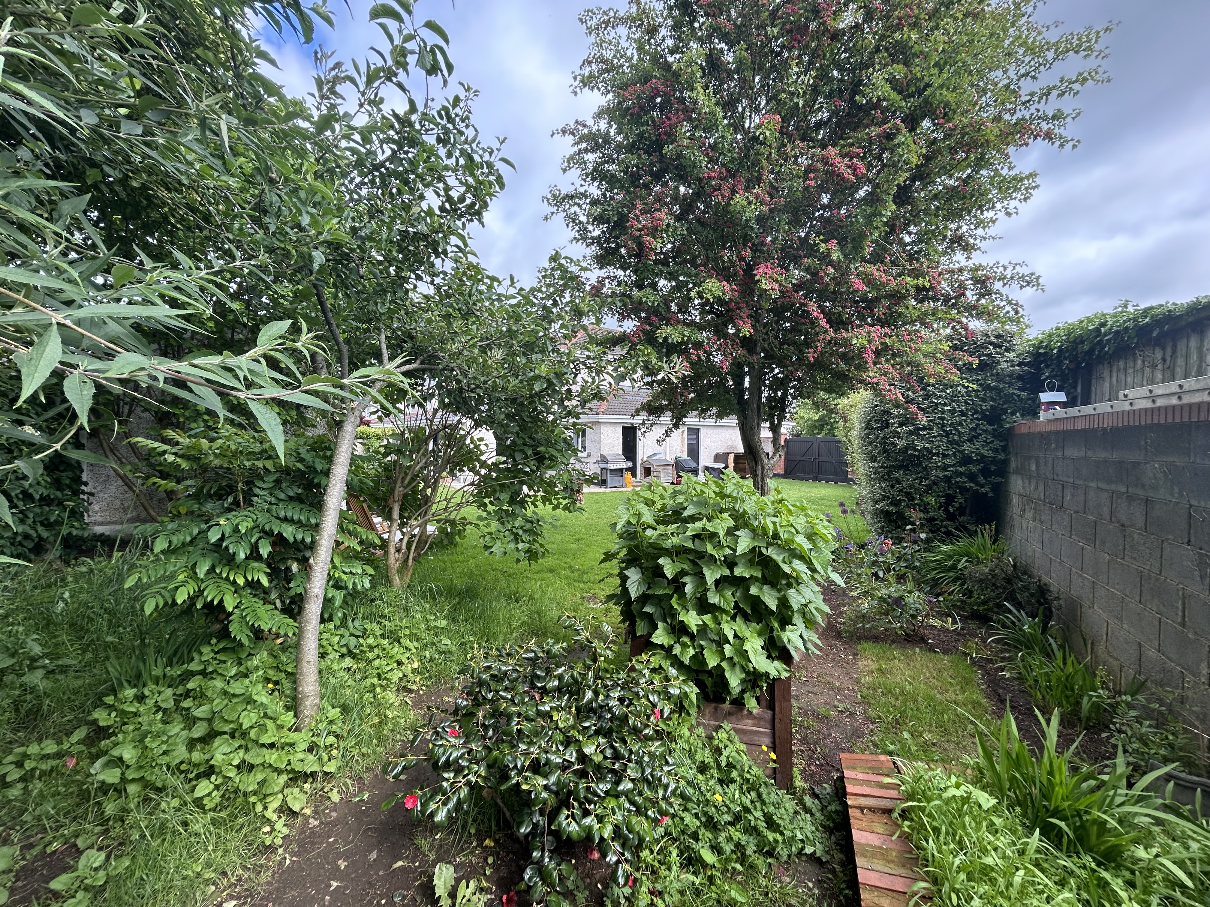 image-28