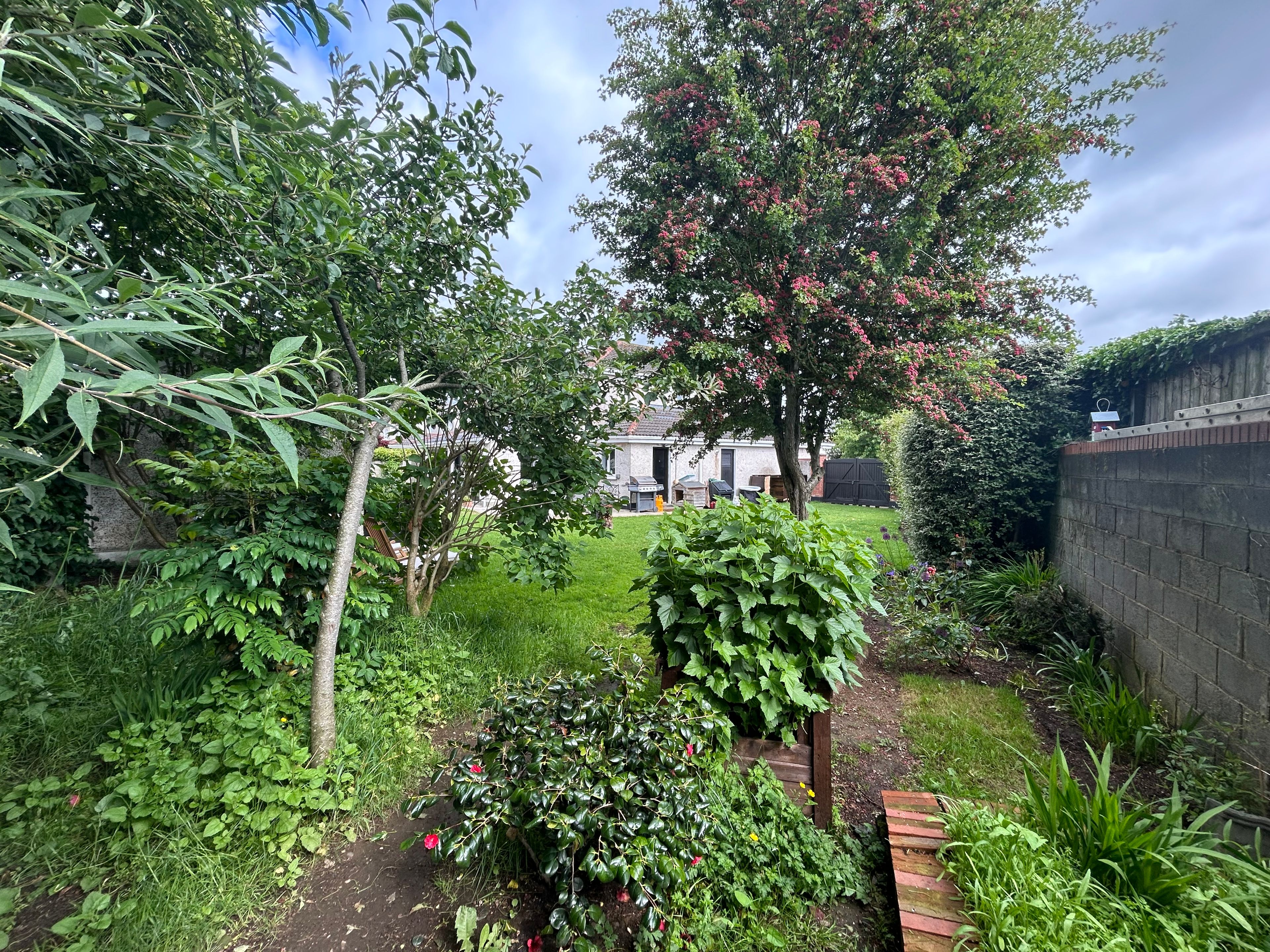 image-28