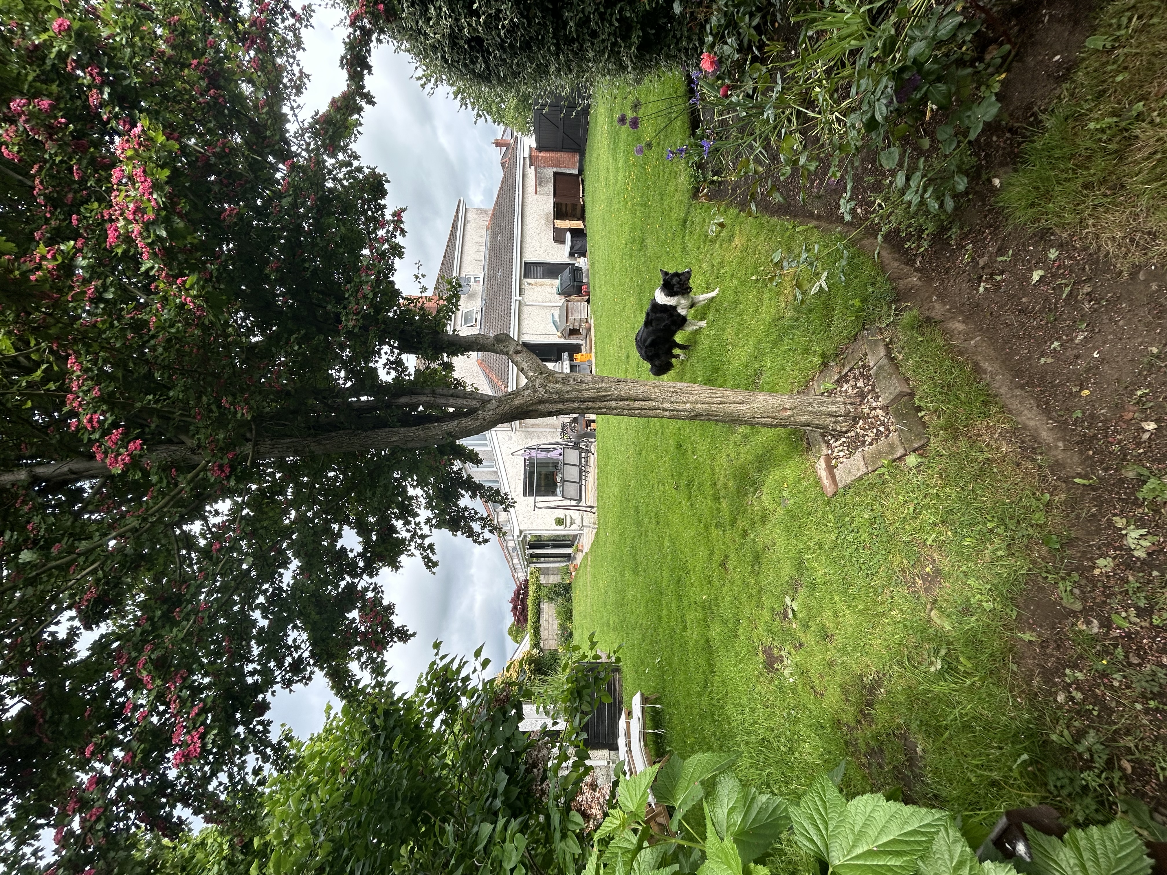 image-16