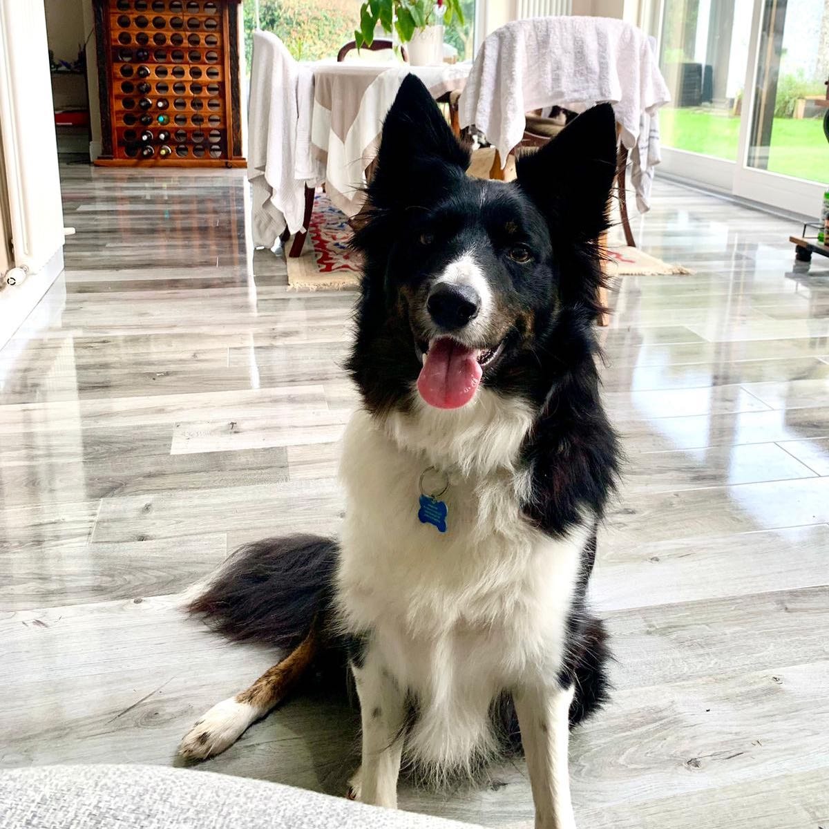 Rocky 