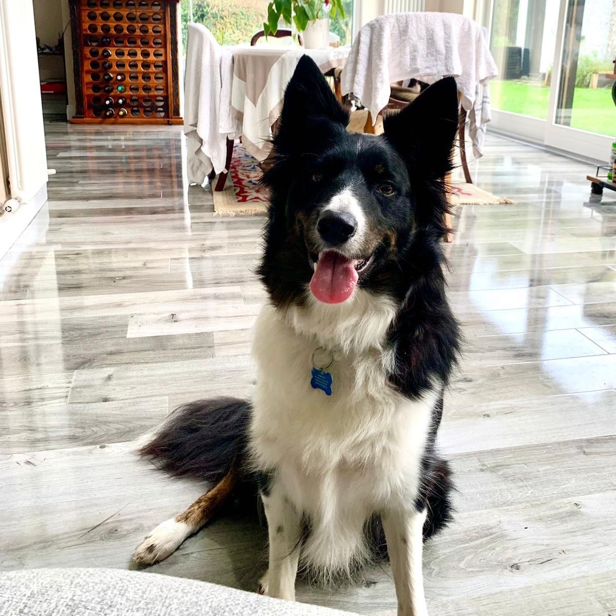 Rocky