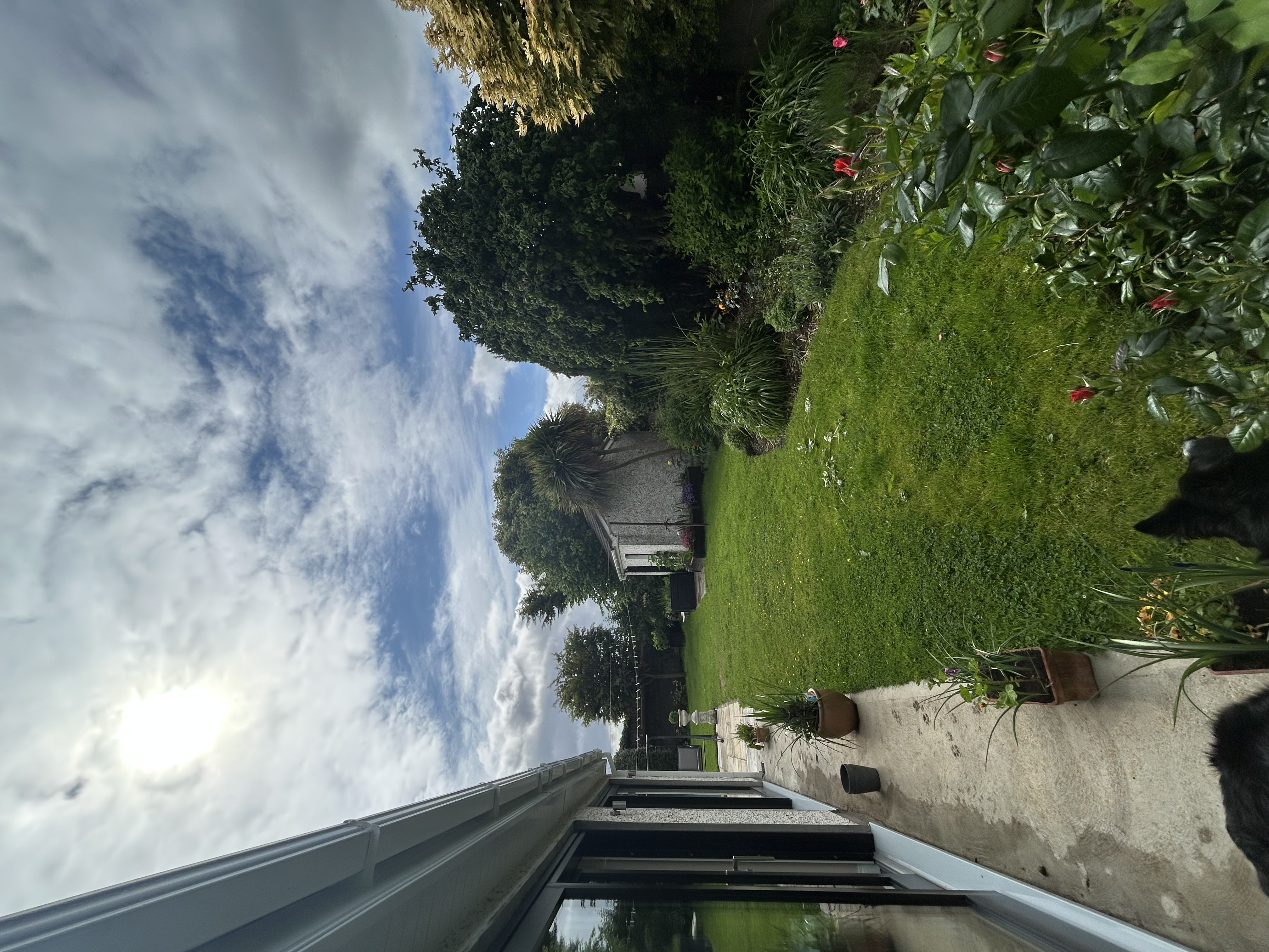 image-17
