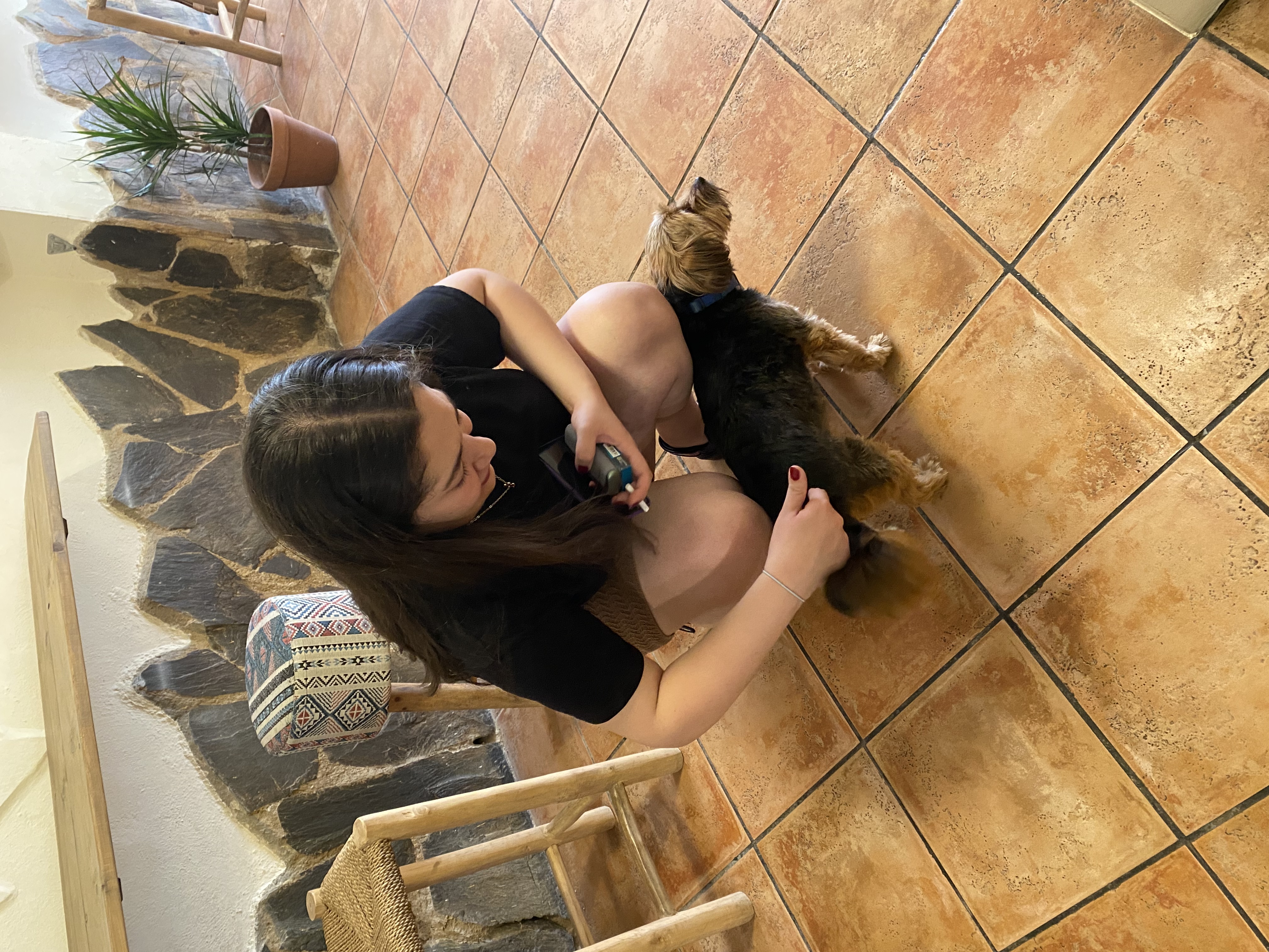 image-7