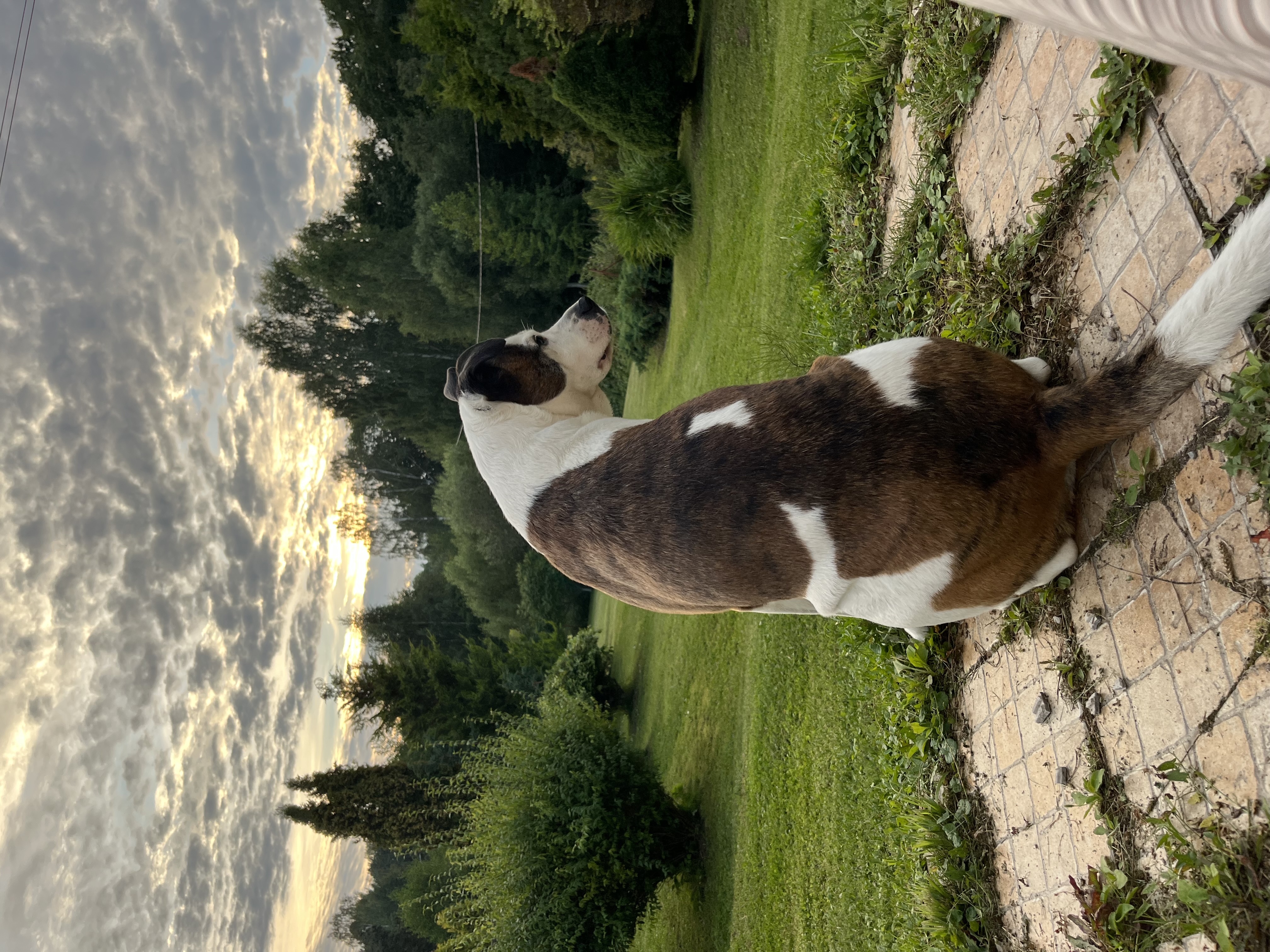 image-7