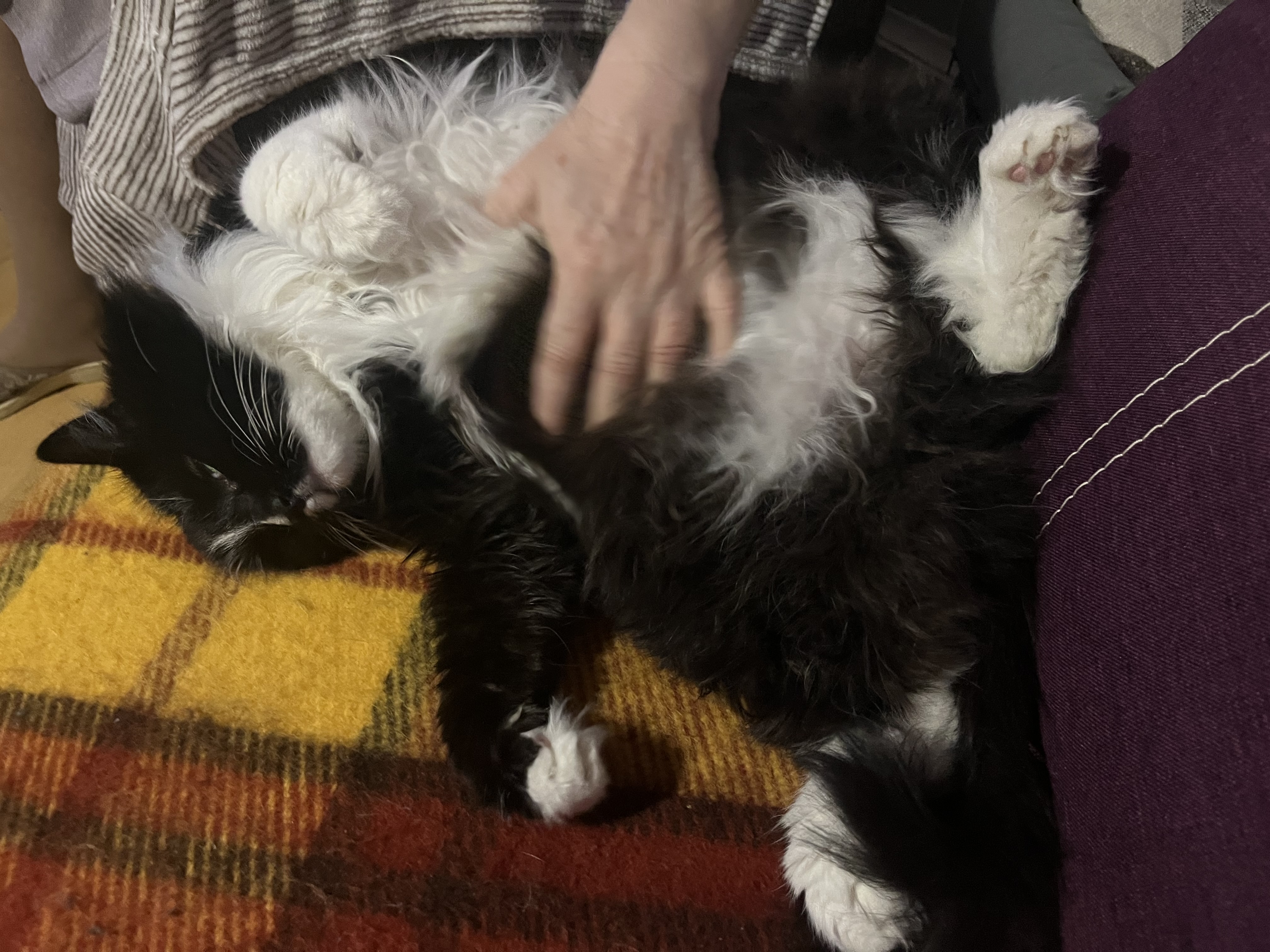 image-6