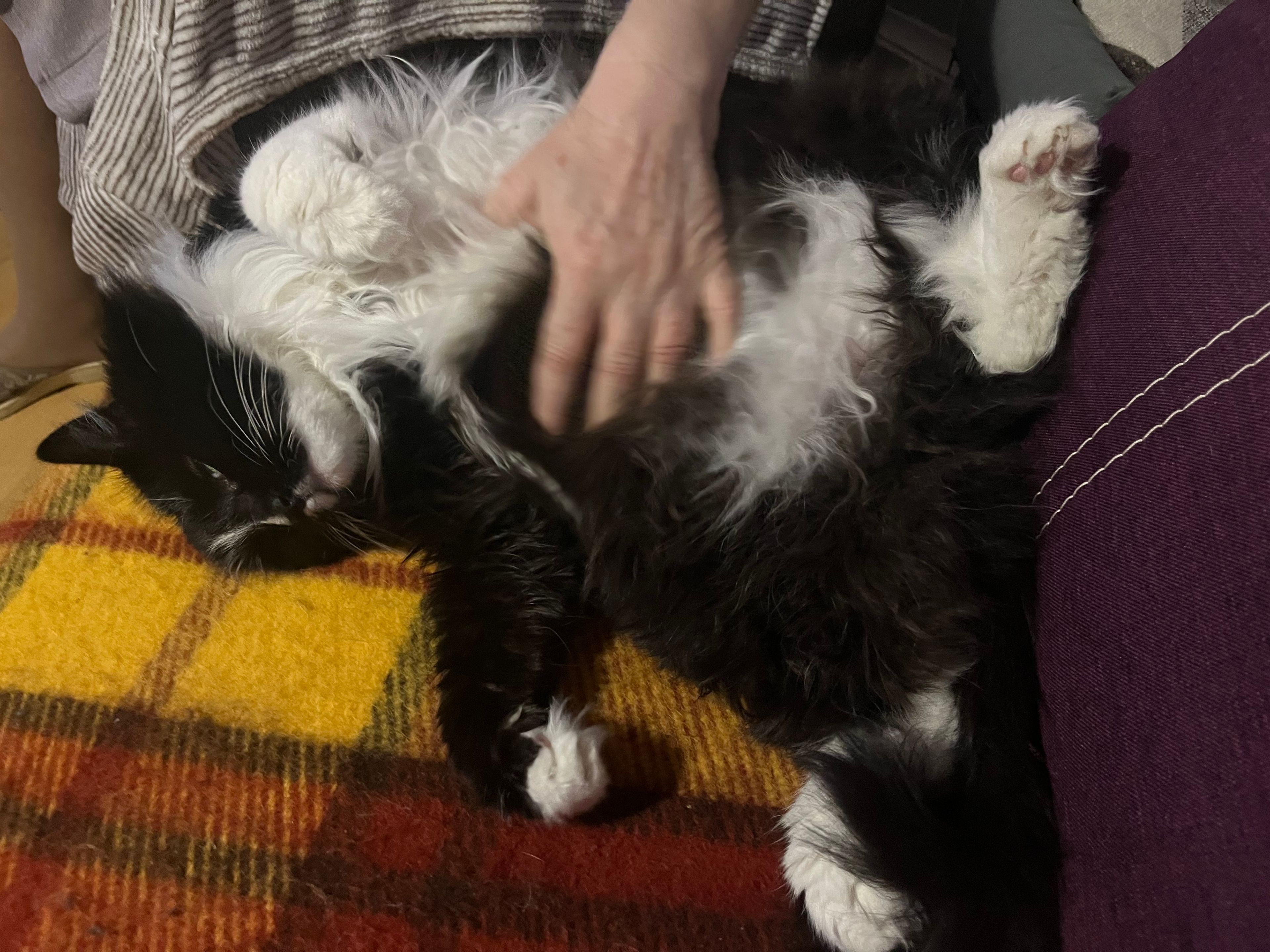 image-6