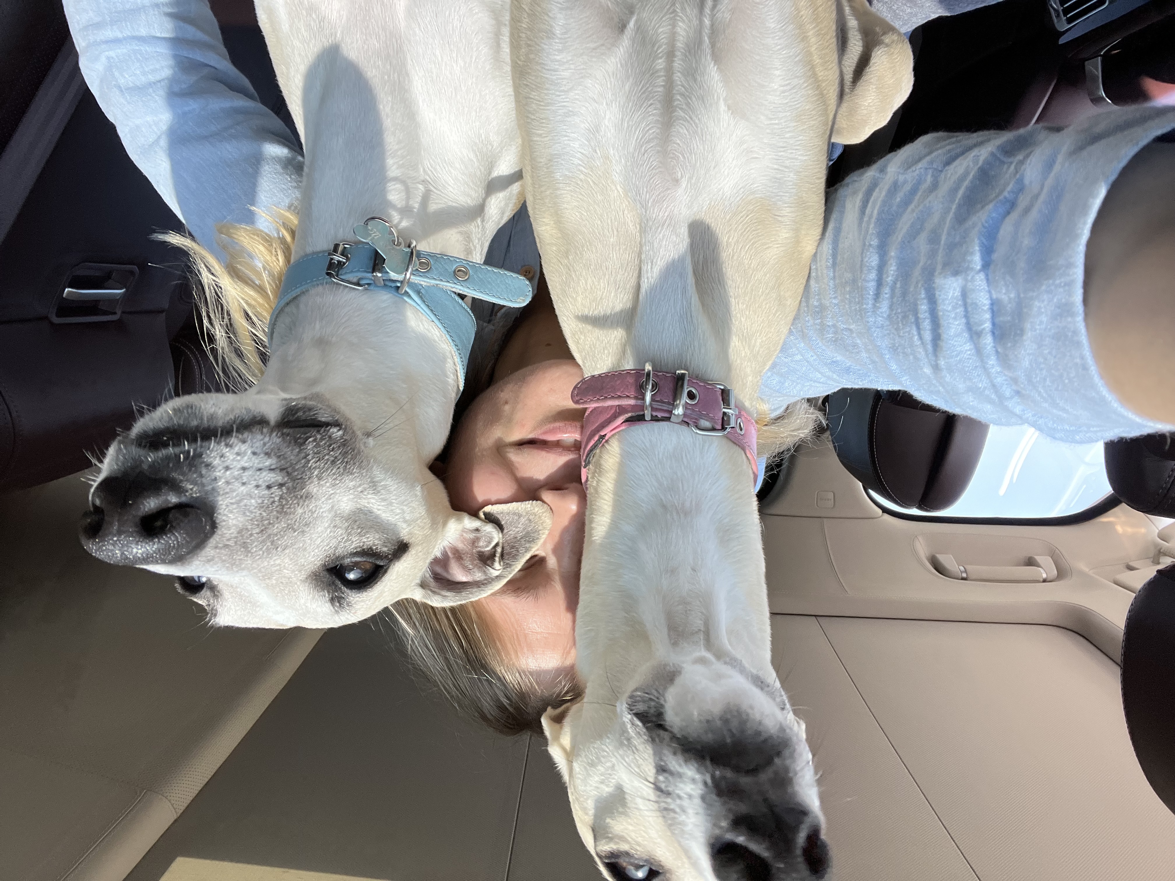 image-0