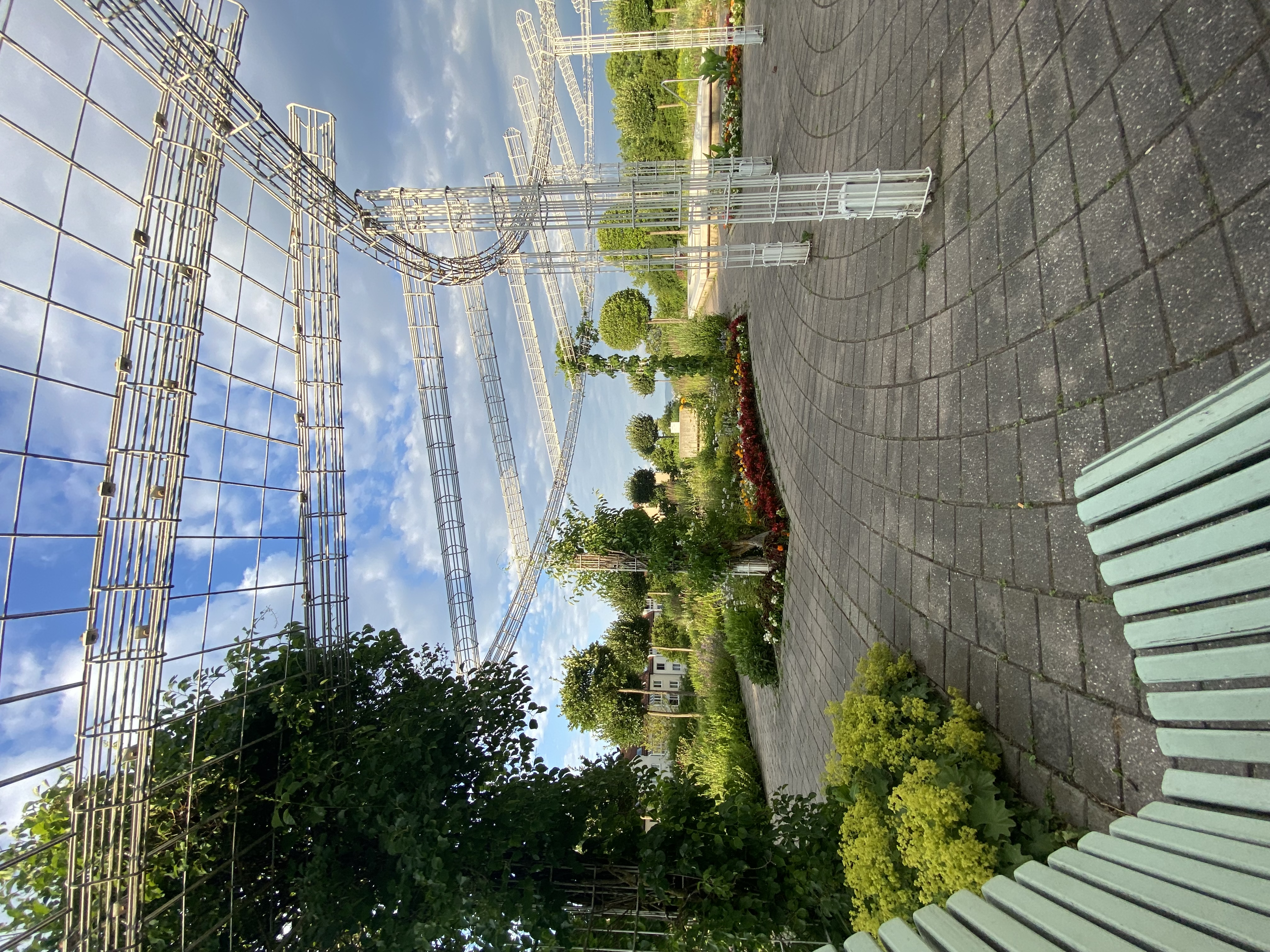 image-10