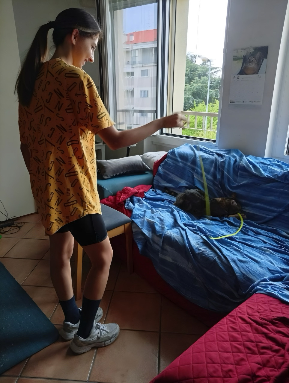 image-7