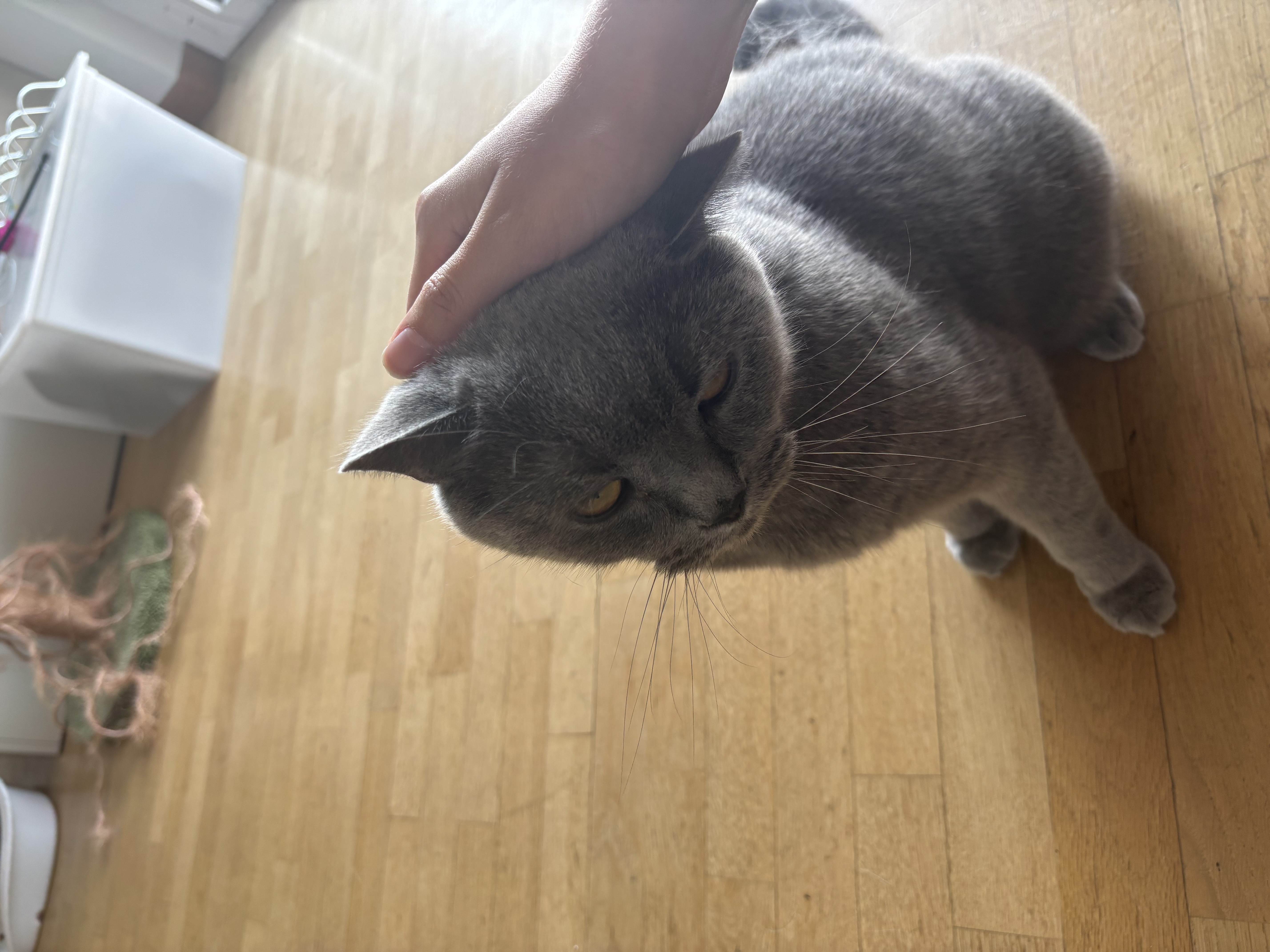 image-21