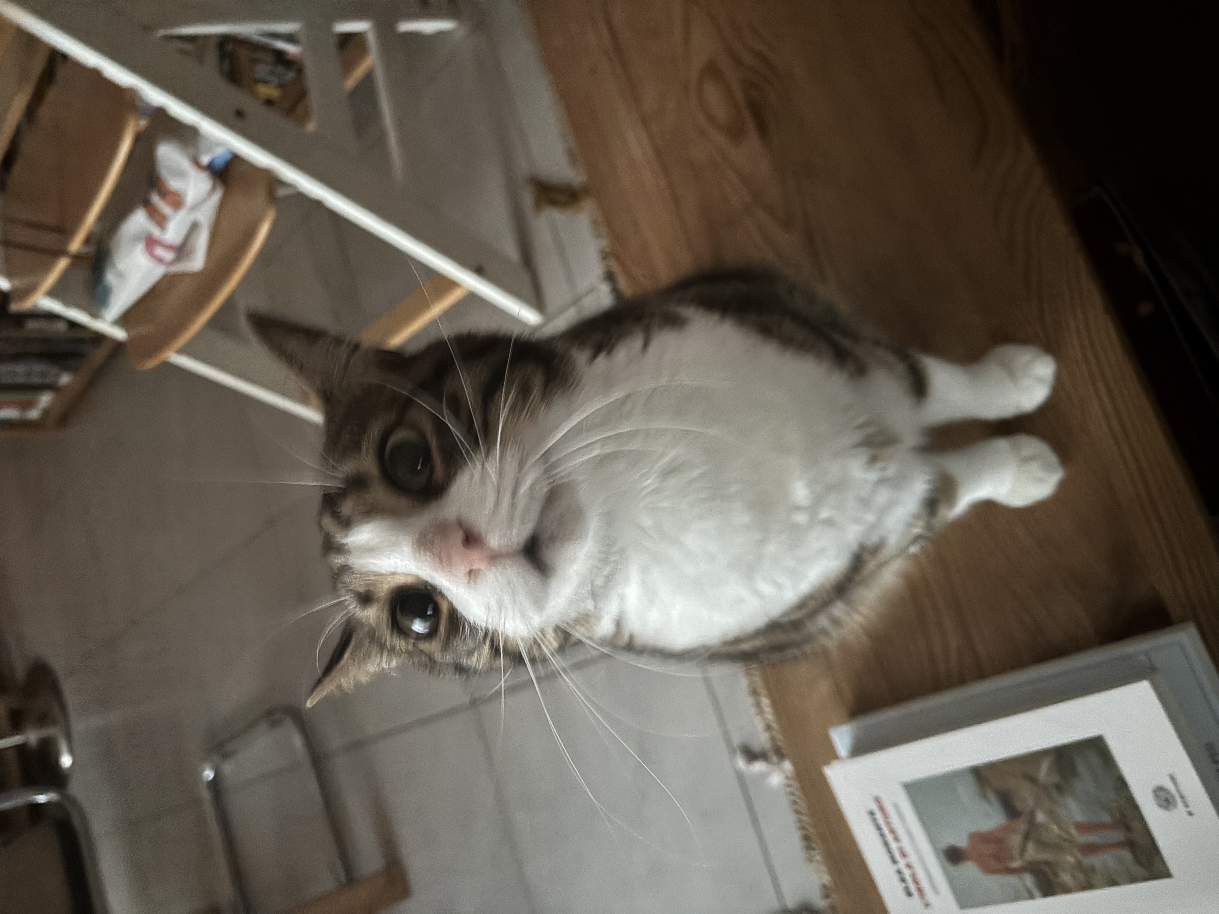 image-8