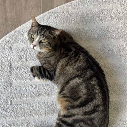 Kiki