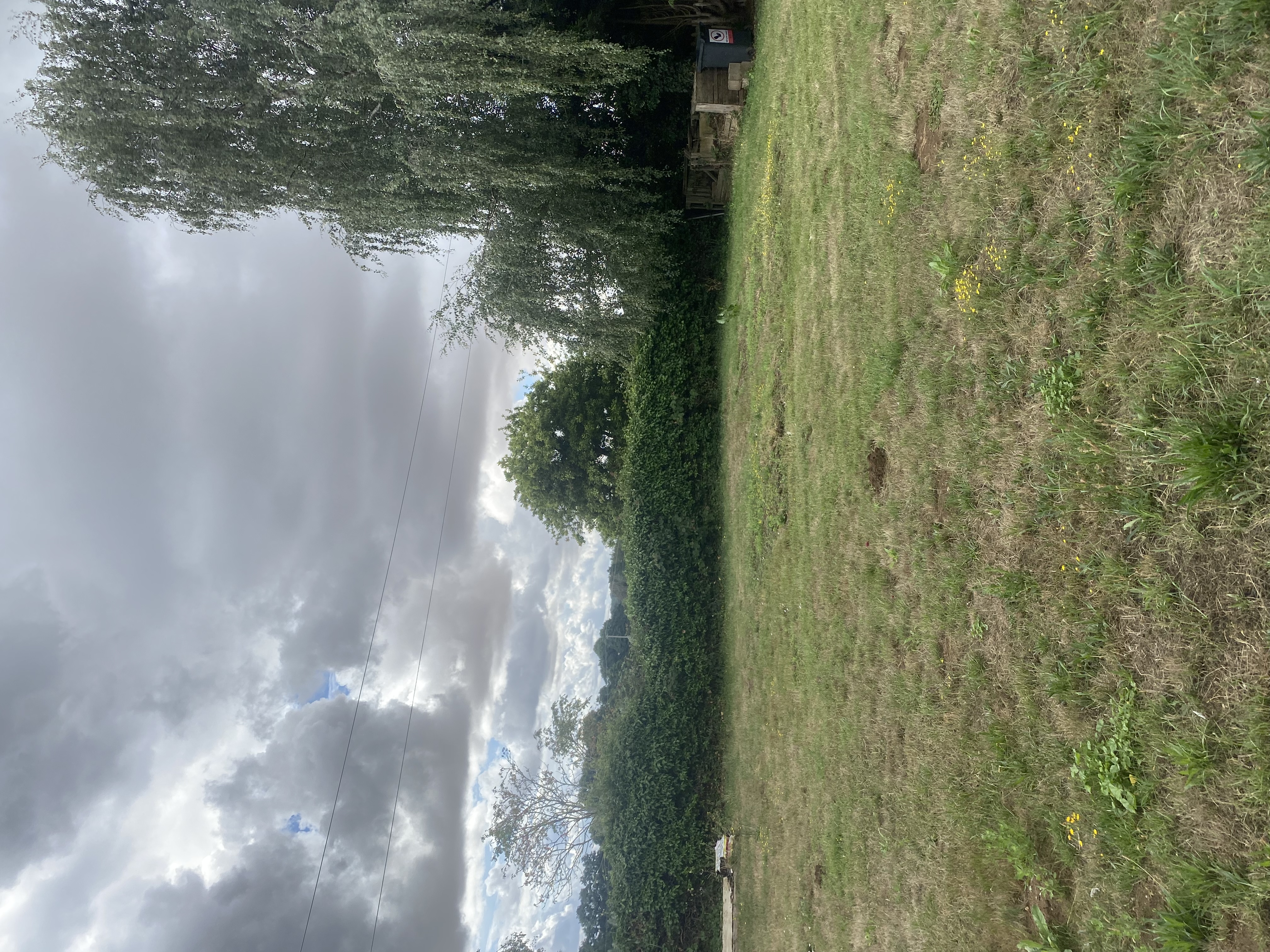 image-15